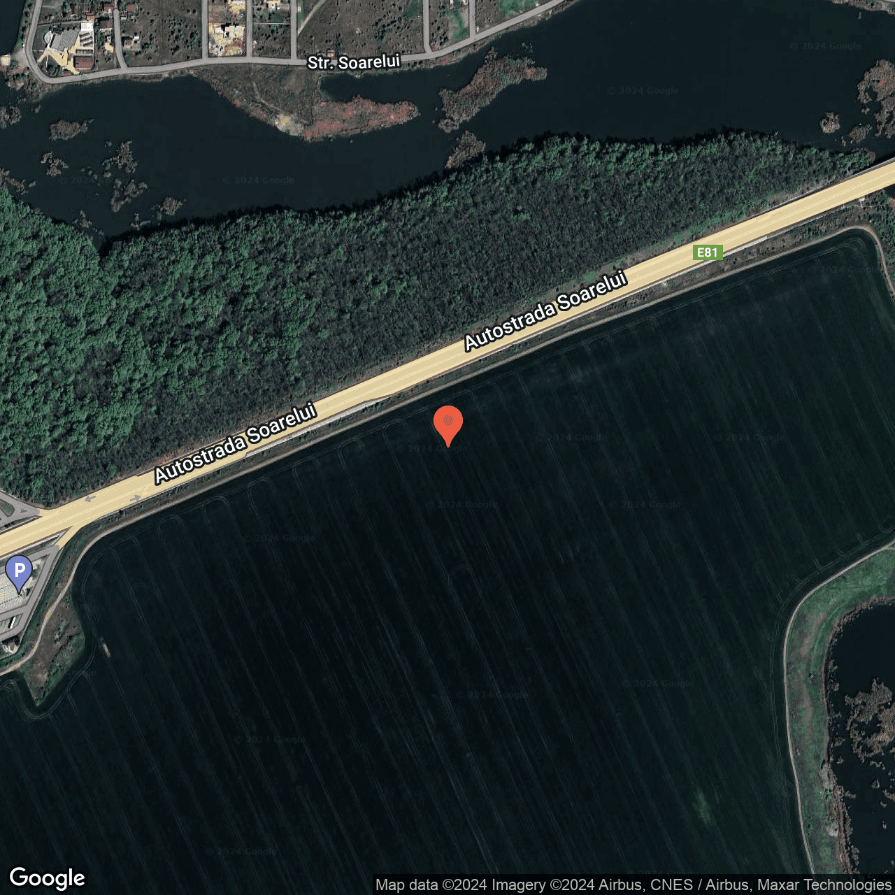 Poza harta hybrid, zoom 16, adresa Cernica, , judetul