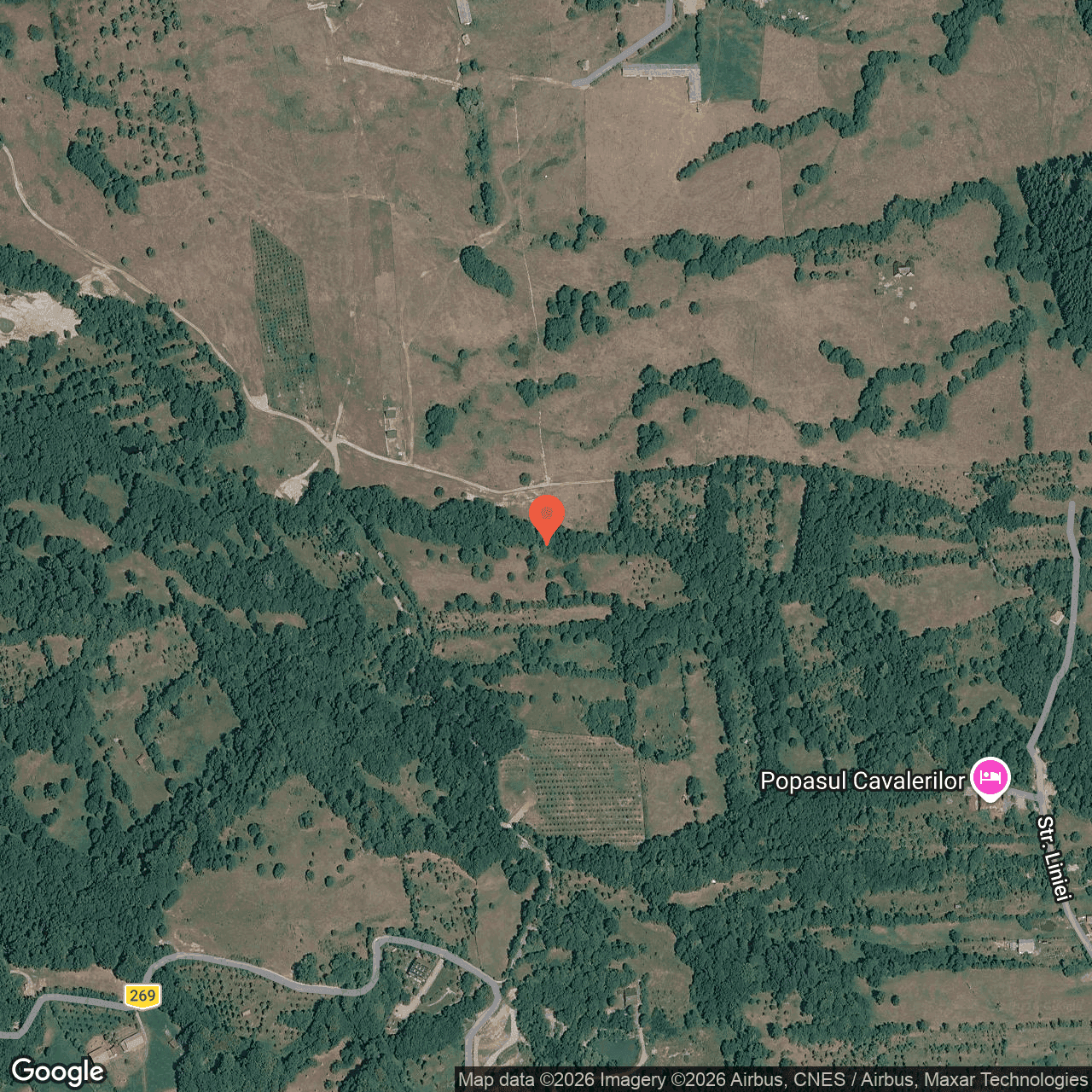 Poza harta hybrid, zoom 16, adresa Nucsoara Arges, , judetul