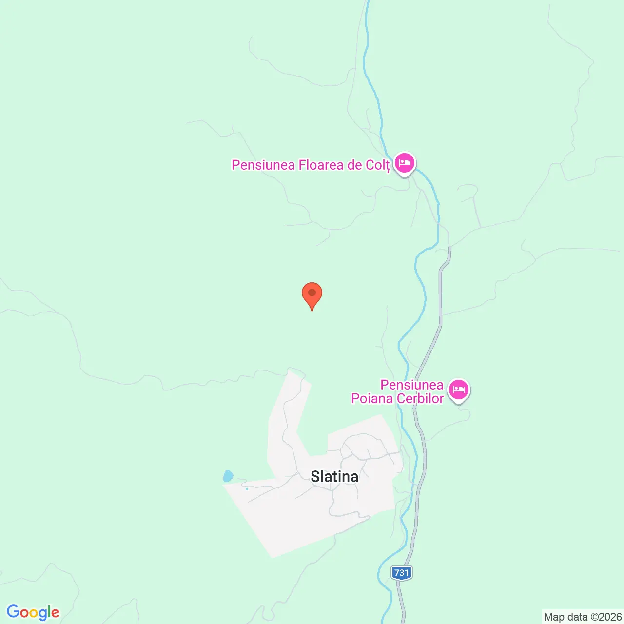 Poza harta streetview, zoom 14, adresa Nucsoara Arges, , judetul