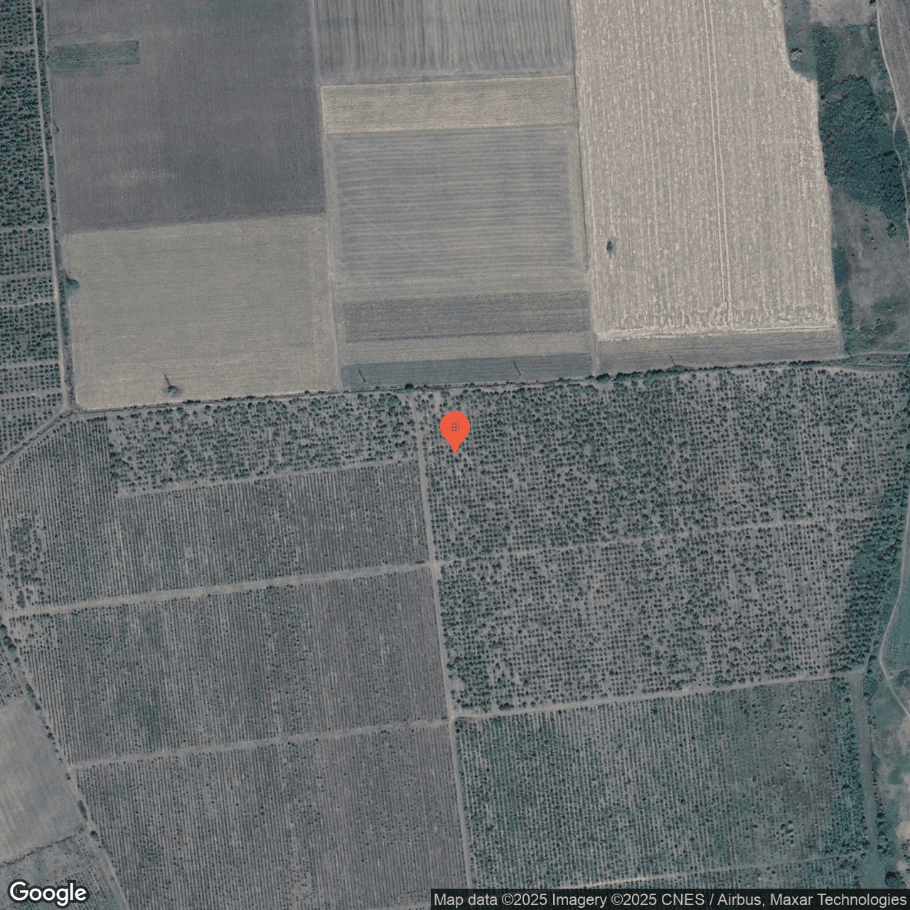 Poza harta hybrid, zoom 16, adresa Muntenii de Jos Vaslui, , judetul