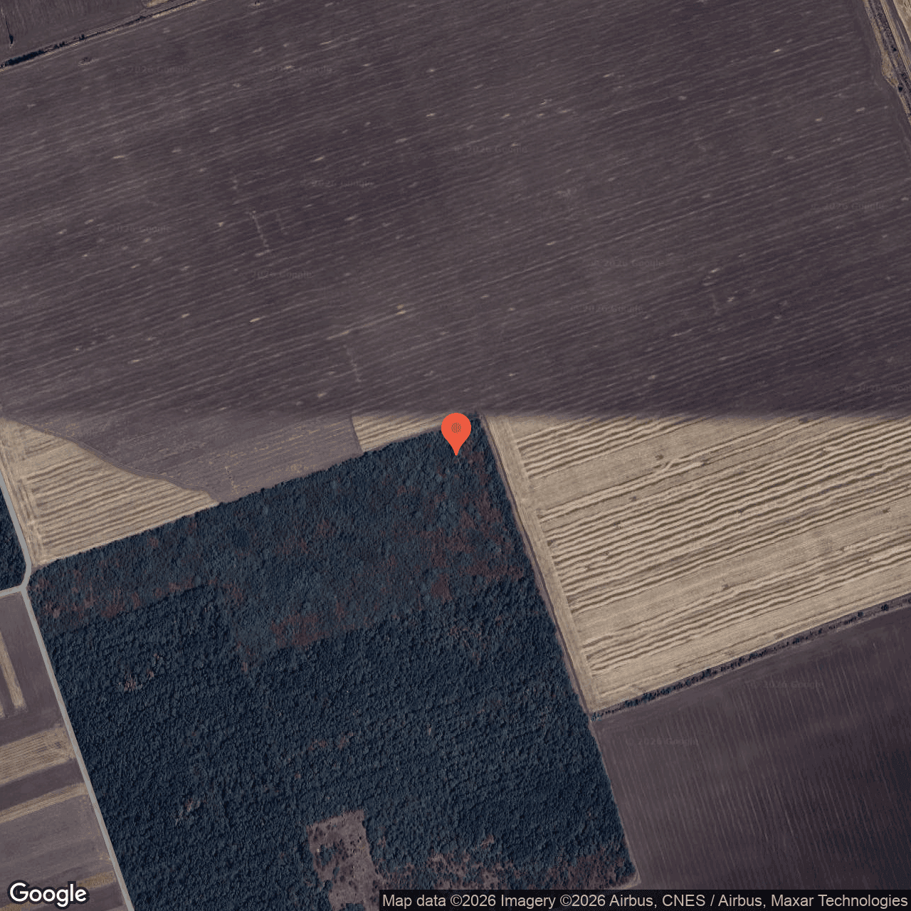 Poza harta hybrid, zoom 16, adresa Nasturelu Teleorman, , judetul