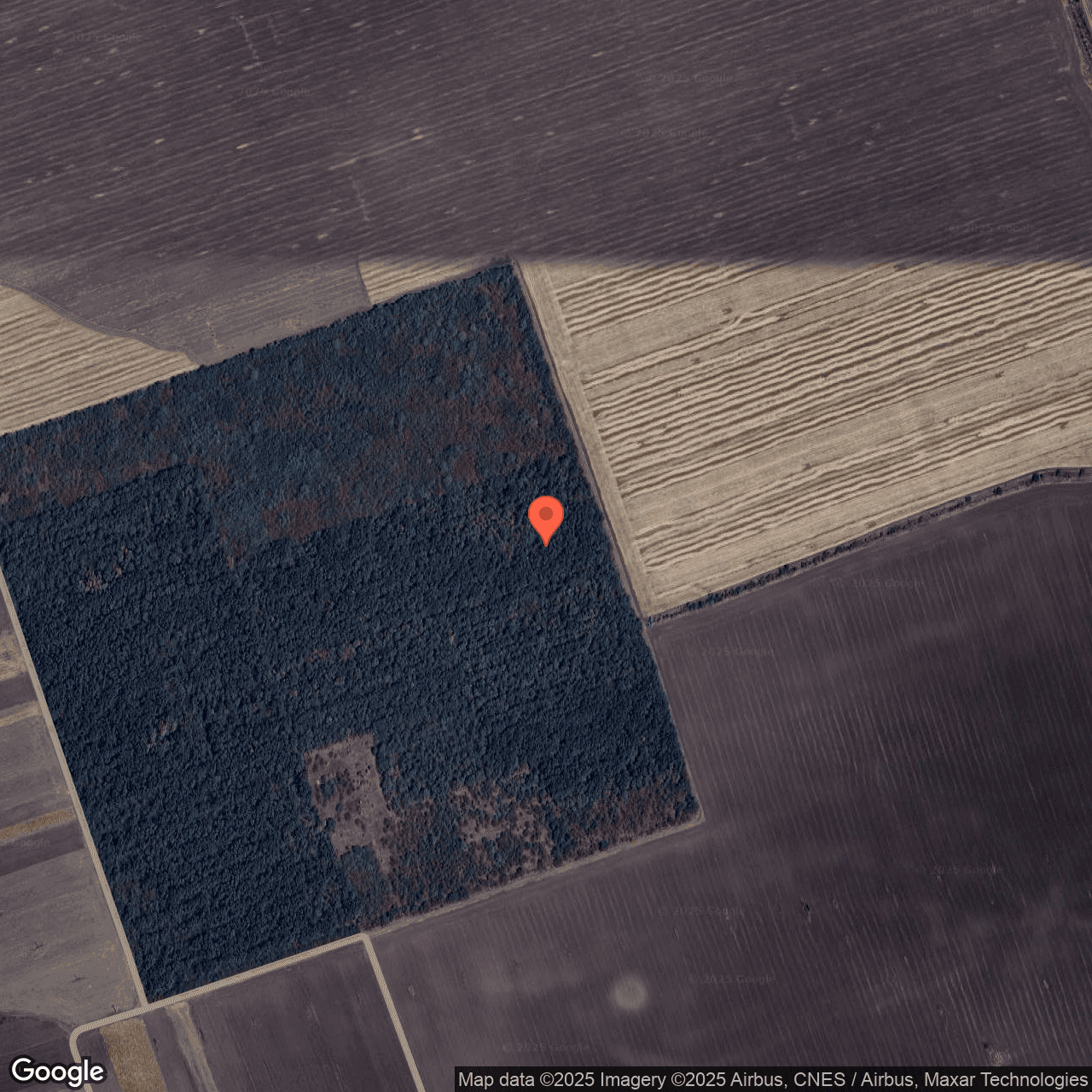 Poza harta hybrid, zoom 16, adresa Nasturelu, Teleorman, , judetul