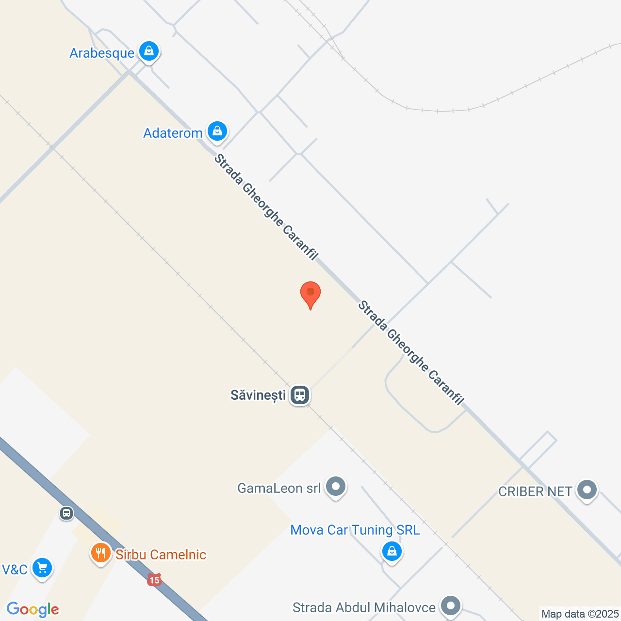 Poza harta streetview, zoom 16, adresa Săvinești, str. Gheorghe Caranfil, , judetul