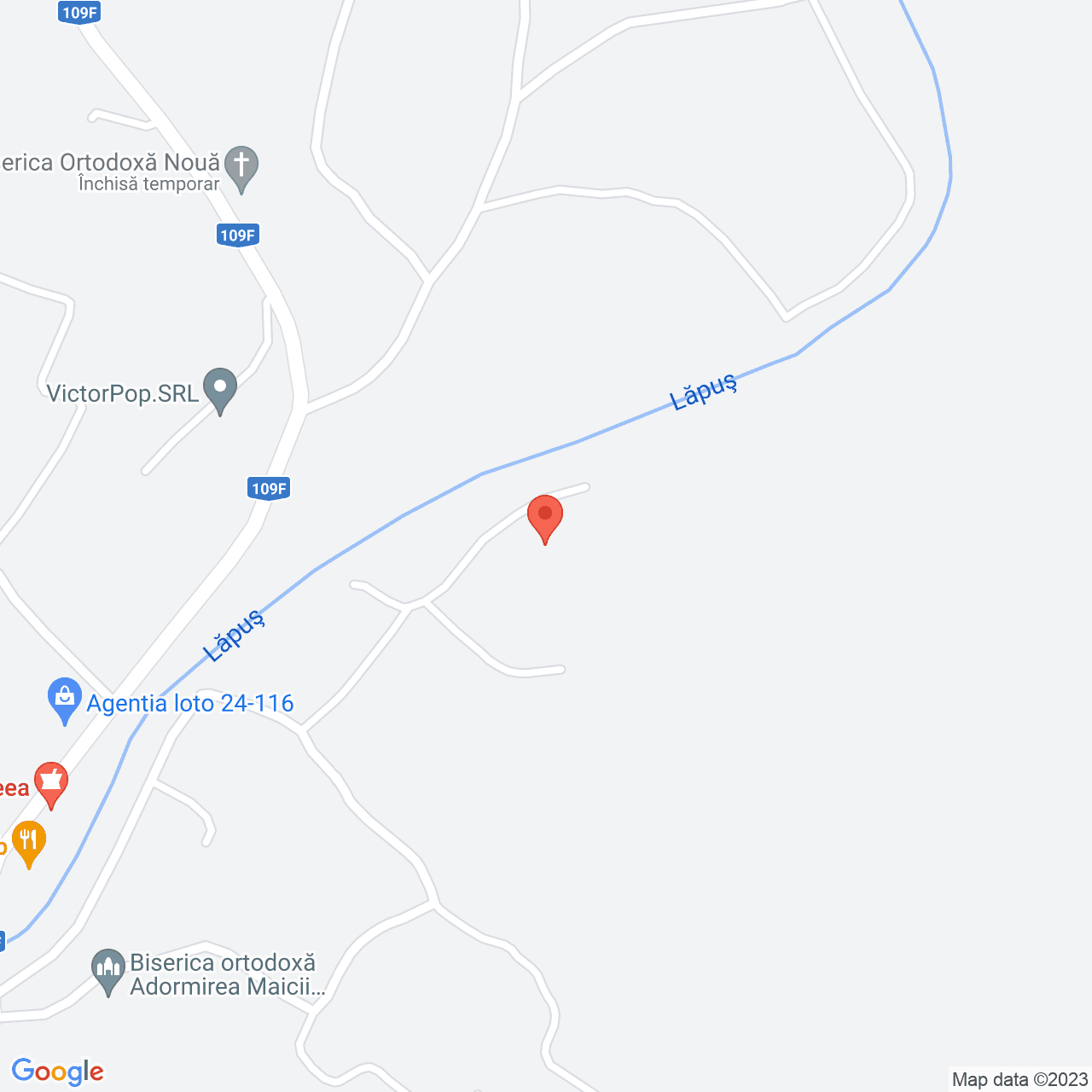 Poza harta streetview, zoom 16, adresa Lăpuș, , judetul