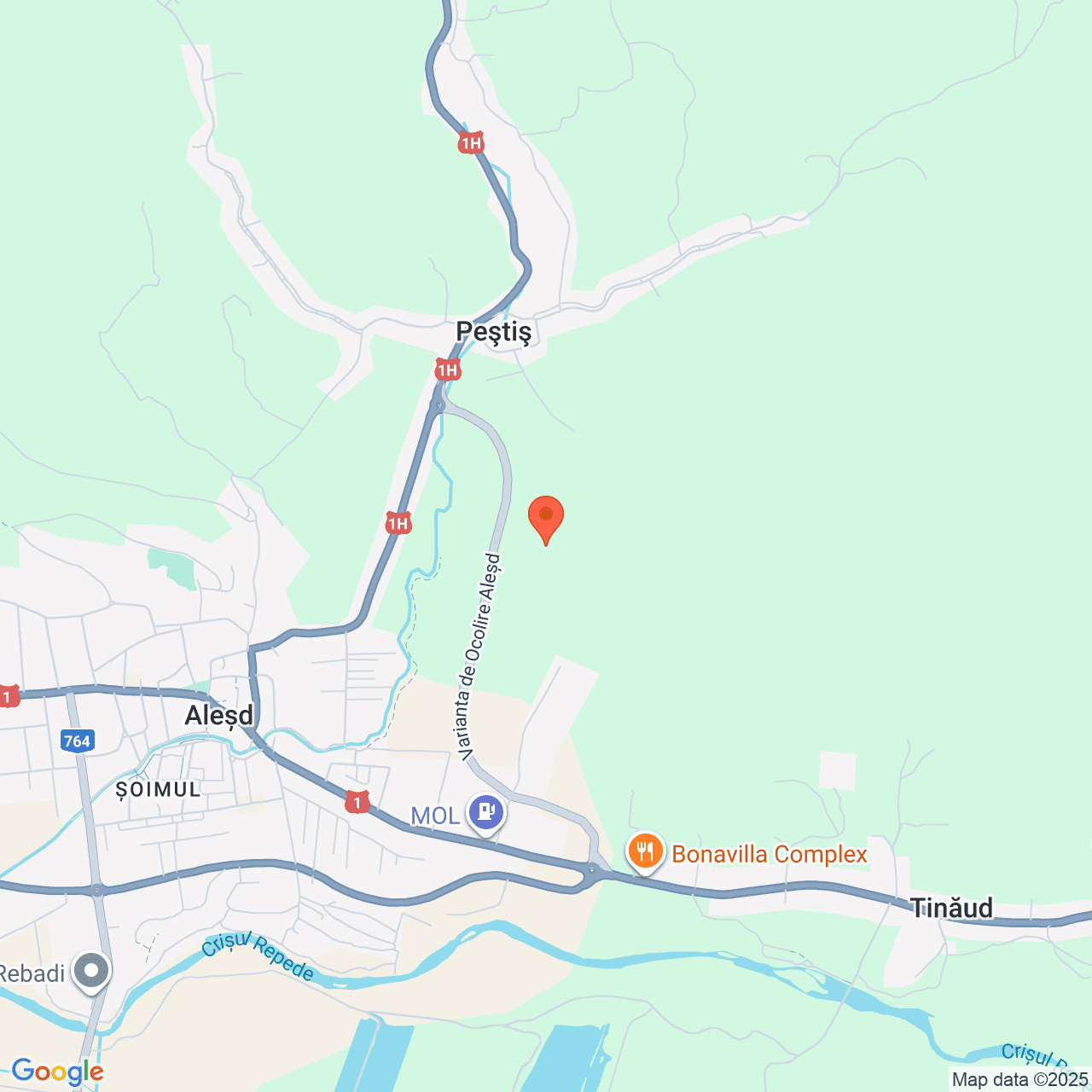 Poza harta streetview, zoom 14, adresa Alesd Bihor, , judetul