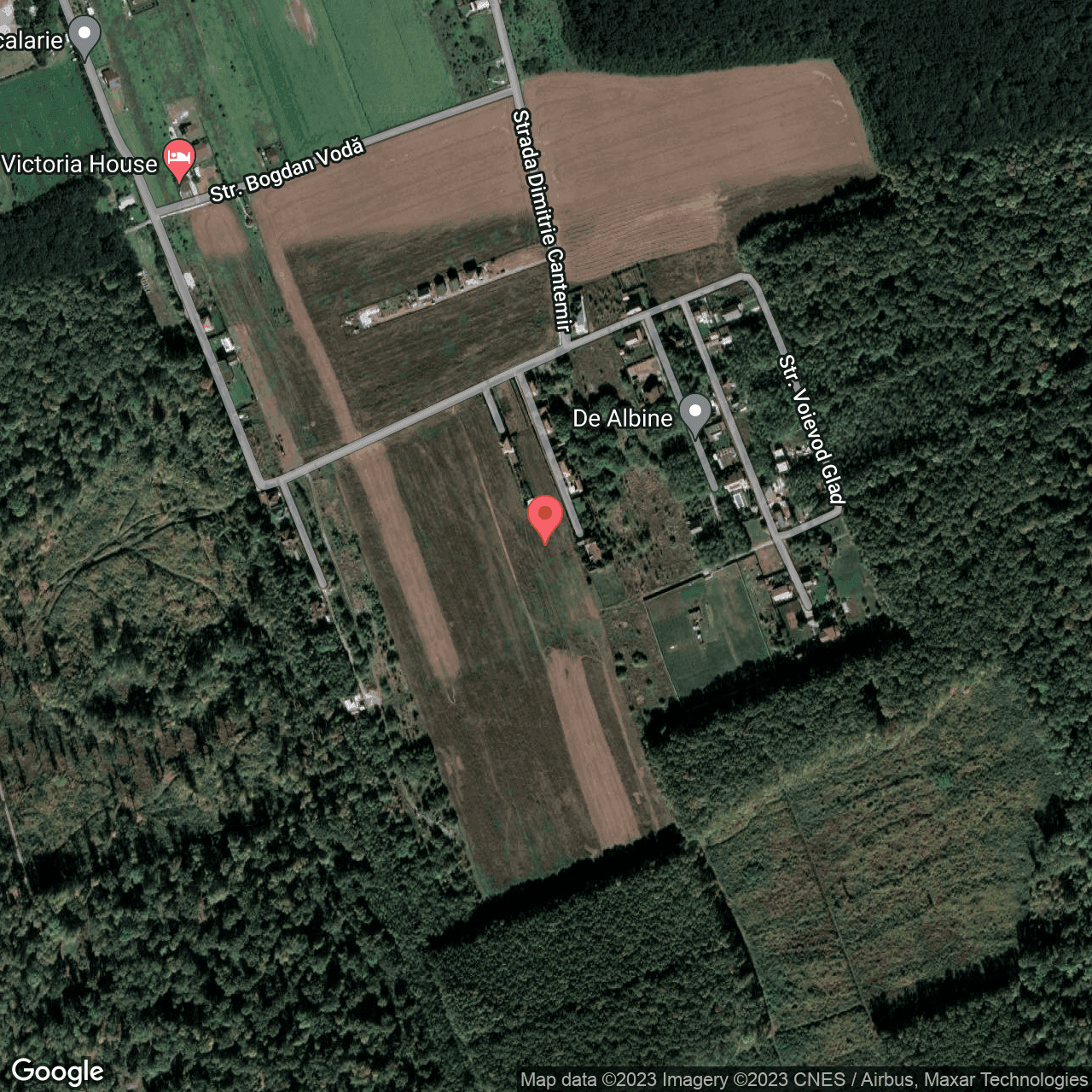 Poza harta hybrid, zoom 16, adresa Snagov, , judetul