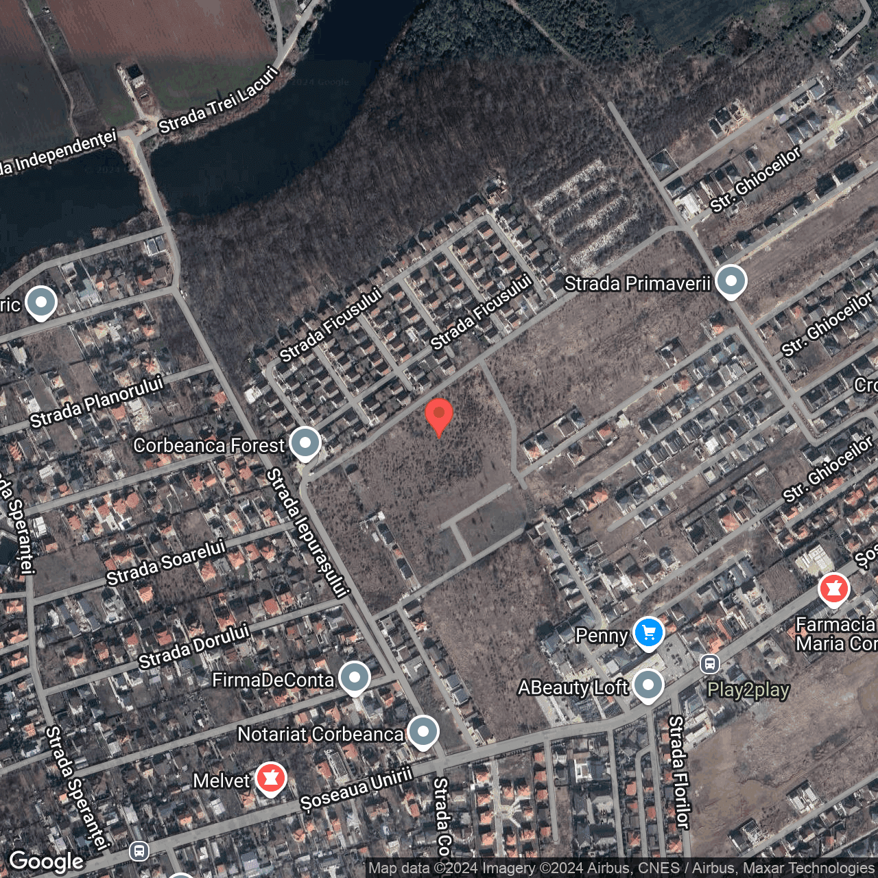 Poza harta hybrid, zoom 16, adresa Balotești strada Iepruasului, , judetul