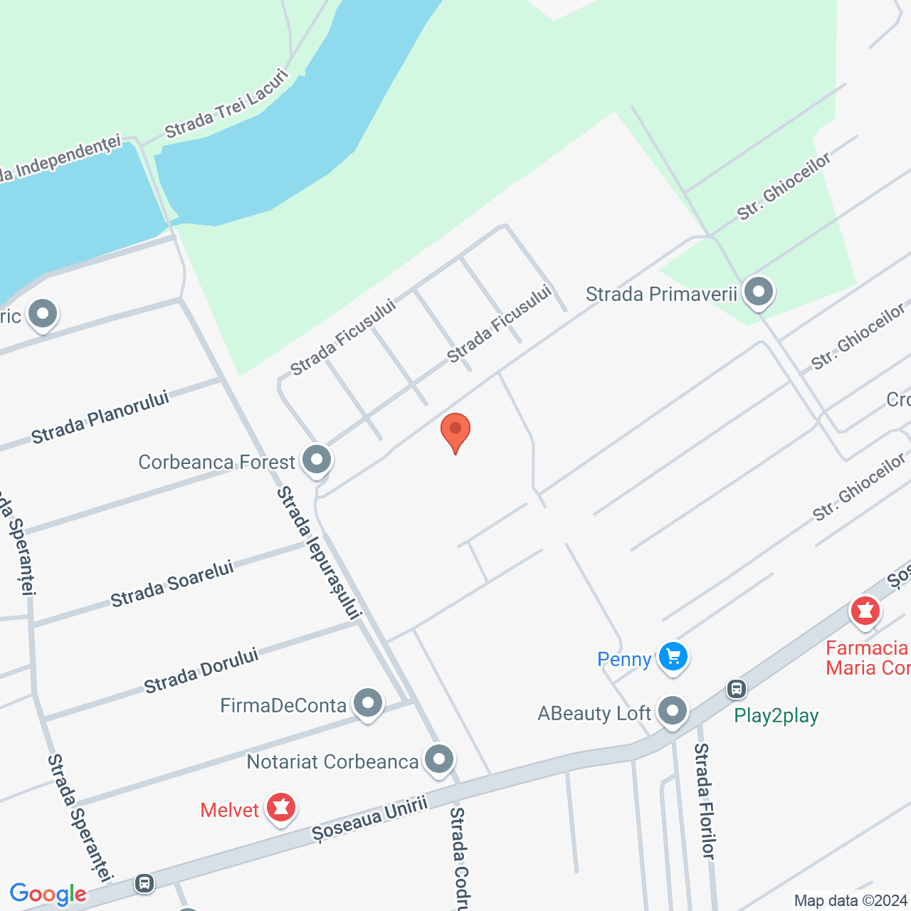 Poza harta streetview, zoom 16, adresa Balotești strada Iepruasului, , judetul