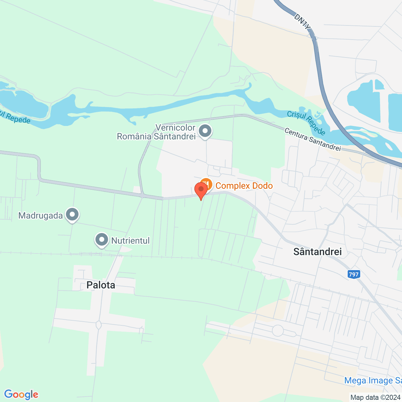 Poza harta streetview, zoom 14, adresa Santandrei Bihor, , judetul