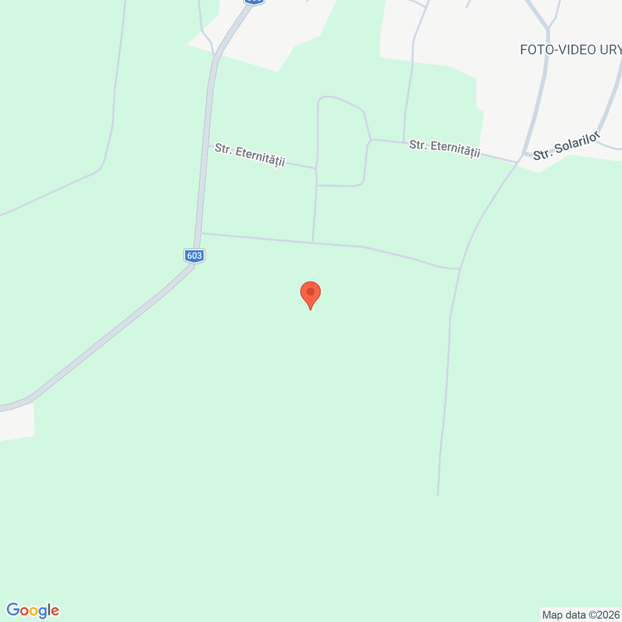 Poza harta streetview, zoom 16, adresa Stoenesti Giurgiu, , judetul