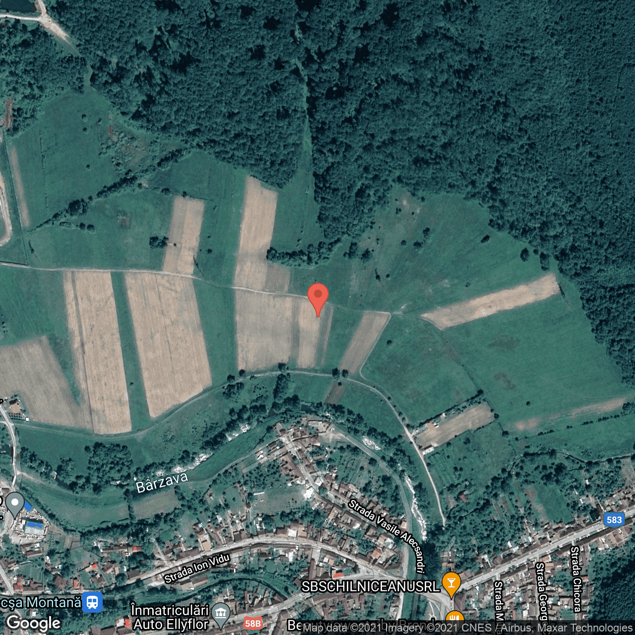 Poza harta hybrid, zoom 16, adresa Ion Vidu, Bocsa, judetul Caras Severin