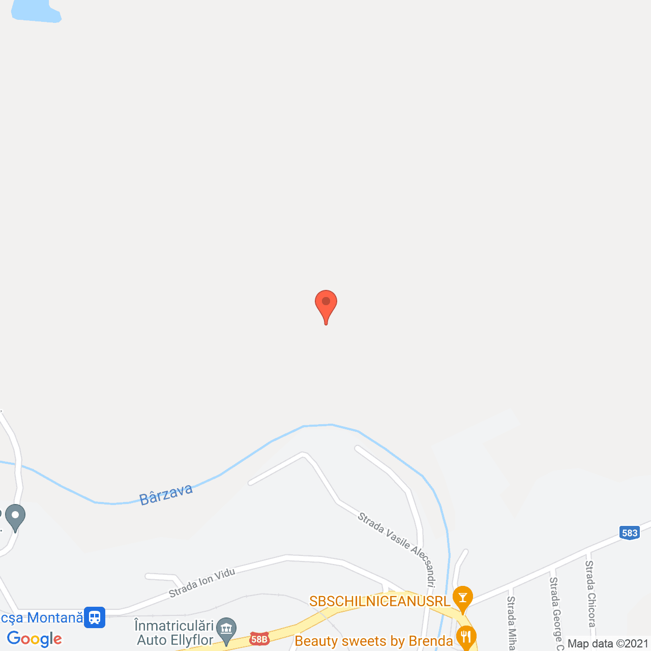 Poza harta streetview, zoom 16, adresa Ion Vidu, Bocsa, judetul Caras Severin