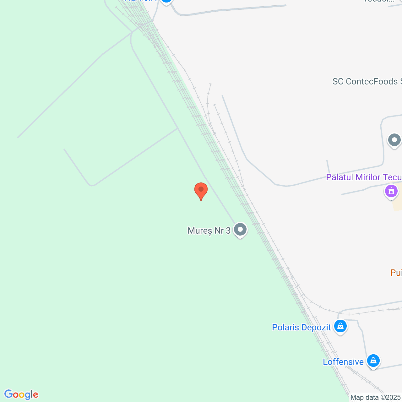 Poza harta streetview, zoom 16, adresa Tecuci, str. Muresului nr.1, , judetul