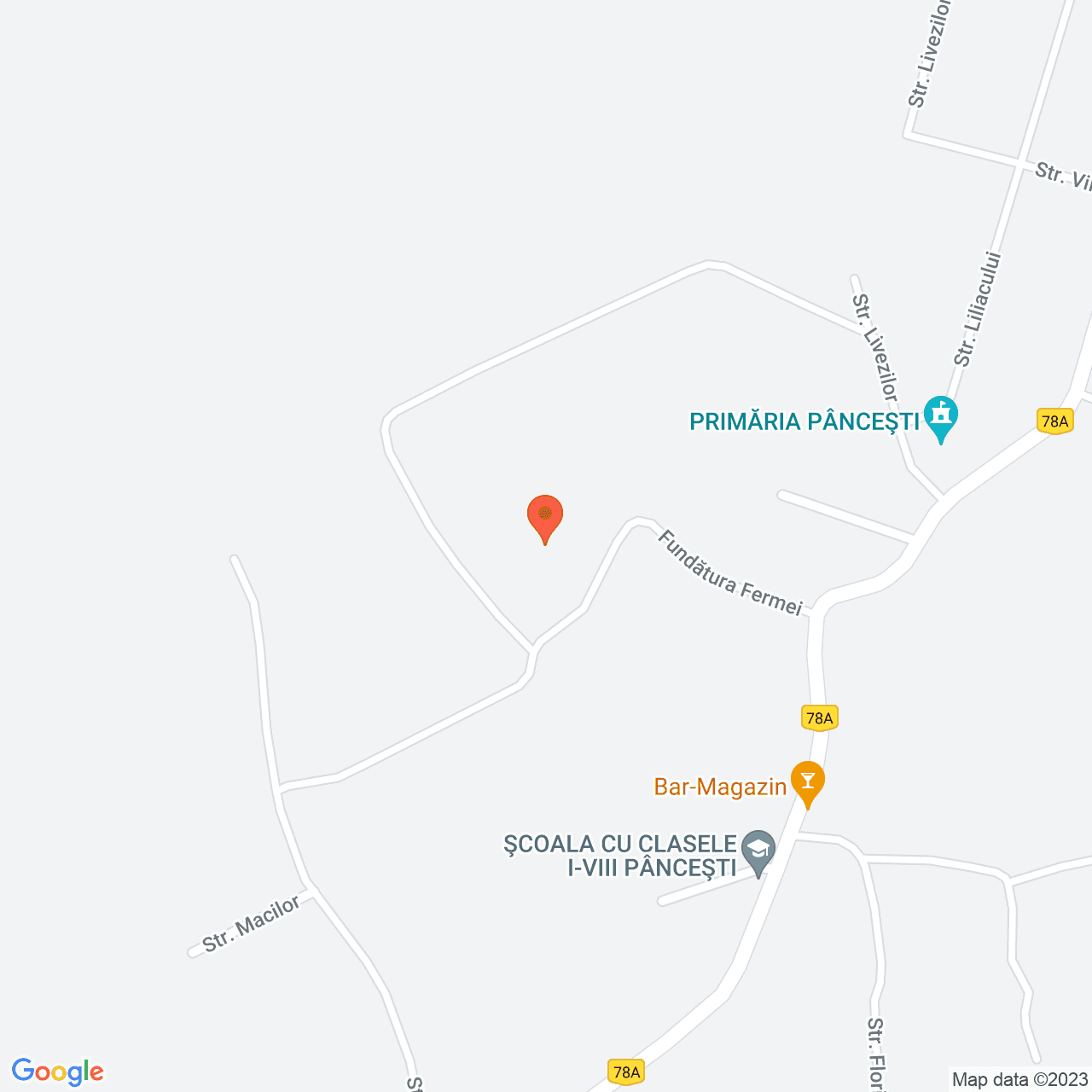 Poza harta streetview, zoom 16, adresa Pancesti, , judetul