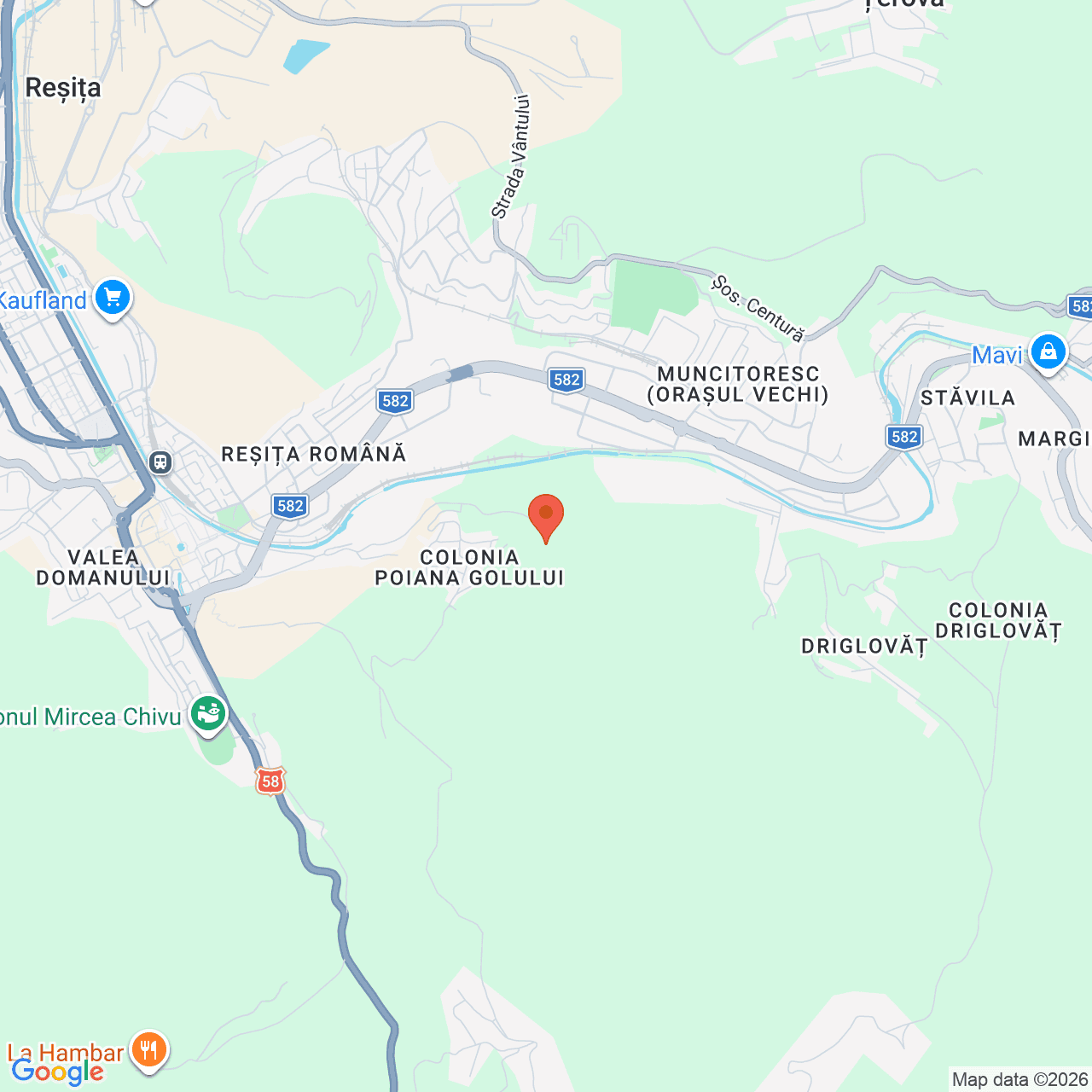 Poza harta streetview, zoom 14, adresa Resita, judetul Caras-Severin, , judetul