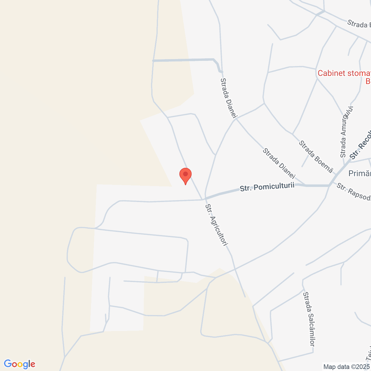 Poza harta streetview, zoom 16, adresa Bestepe Tulcea, , judetul