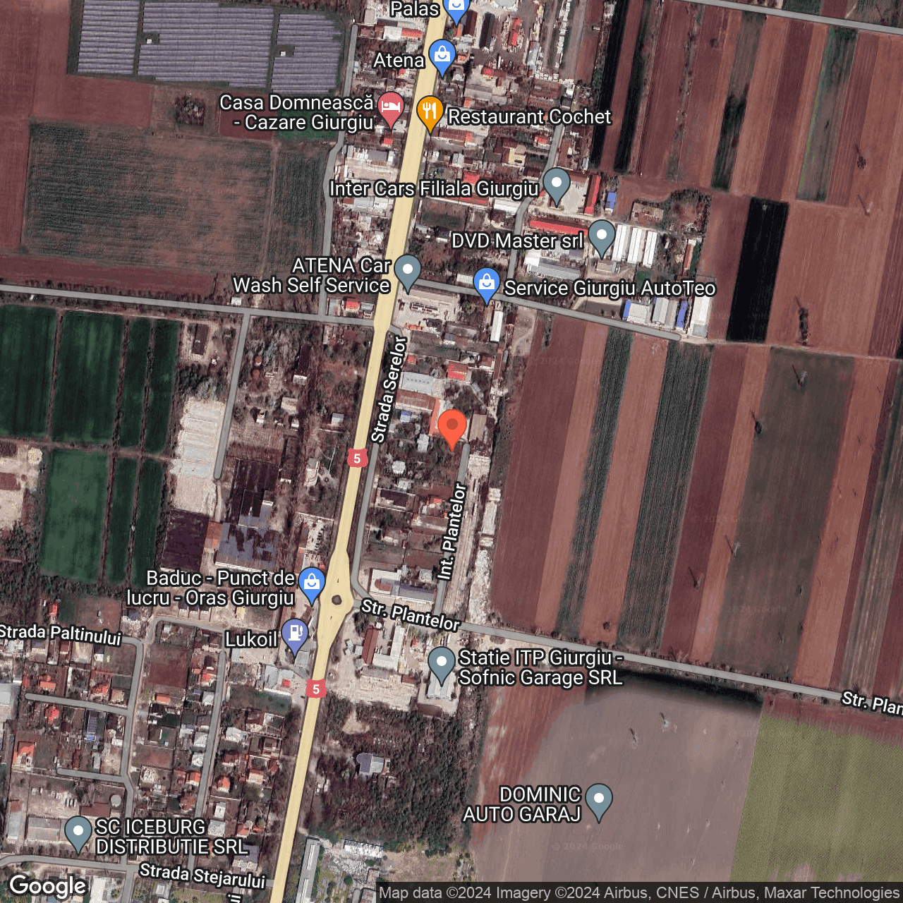 Poza harta hybrid, zoom 16, adresa Remuș str. Fundătura Plantelor, nr.16, , judetul