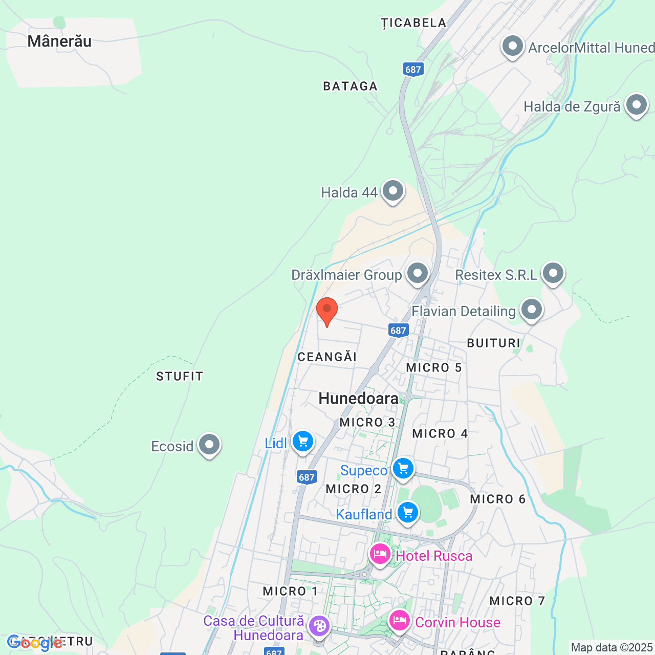 Poza harta streetview, zoom 14, adresa Hunedoara, str. Carpati, nr.138, , judetul