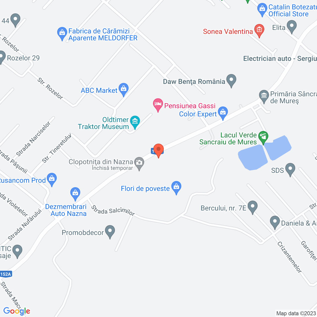 Poza harta streetview, zoom 16, adresa Nazna, , judetul