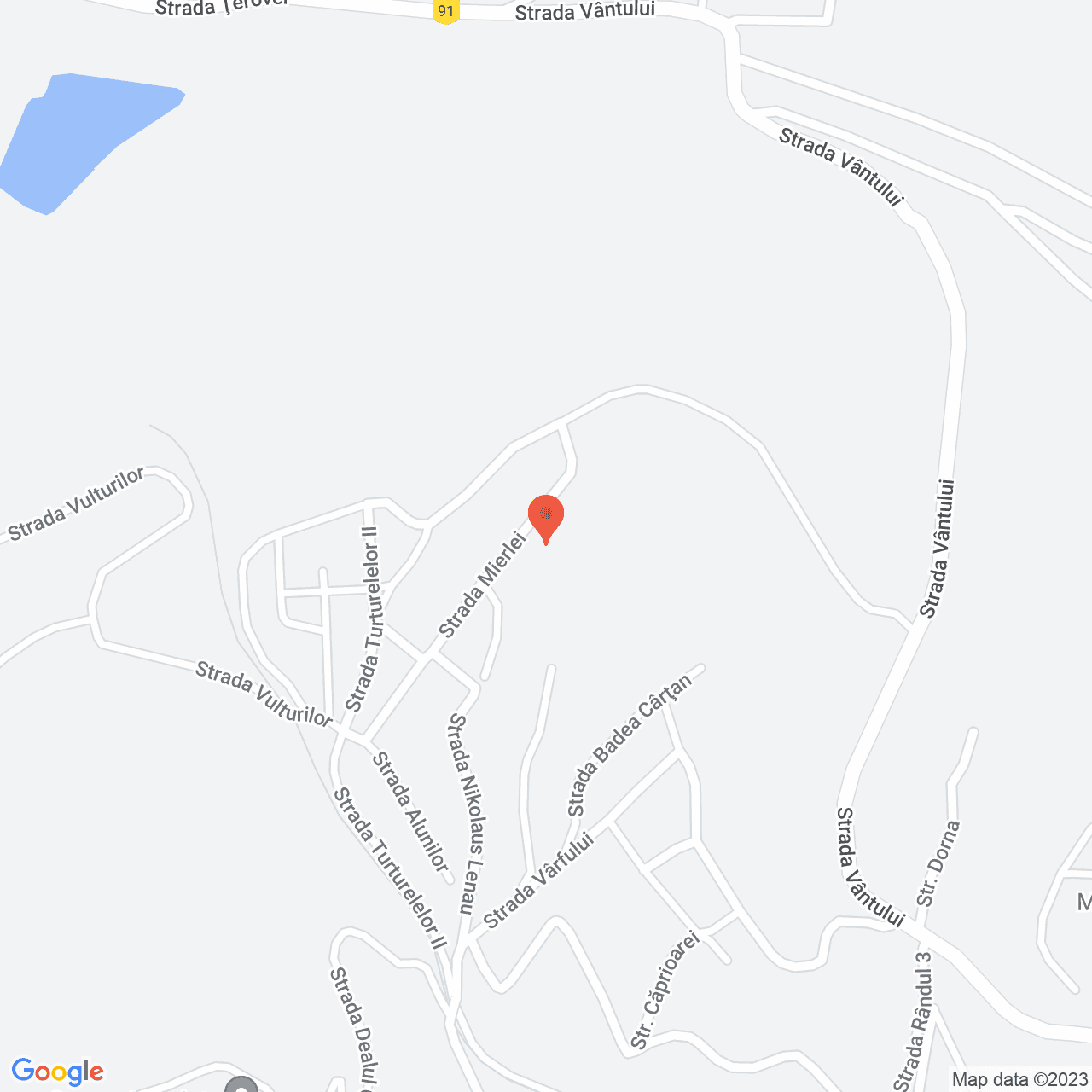 Poza harta streetview, zoom 16, adresa Resita, , judetul