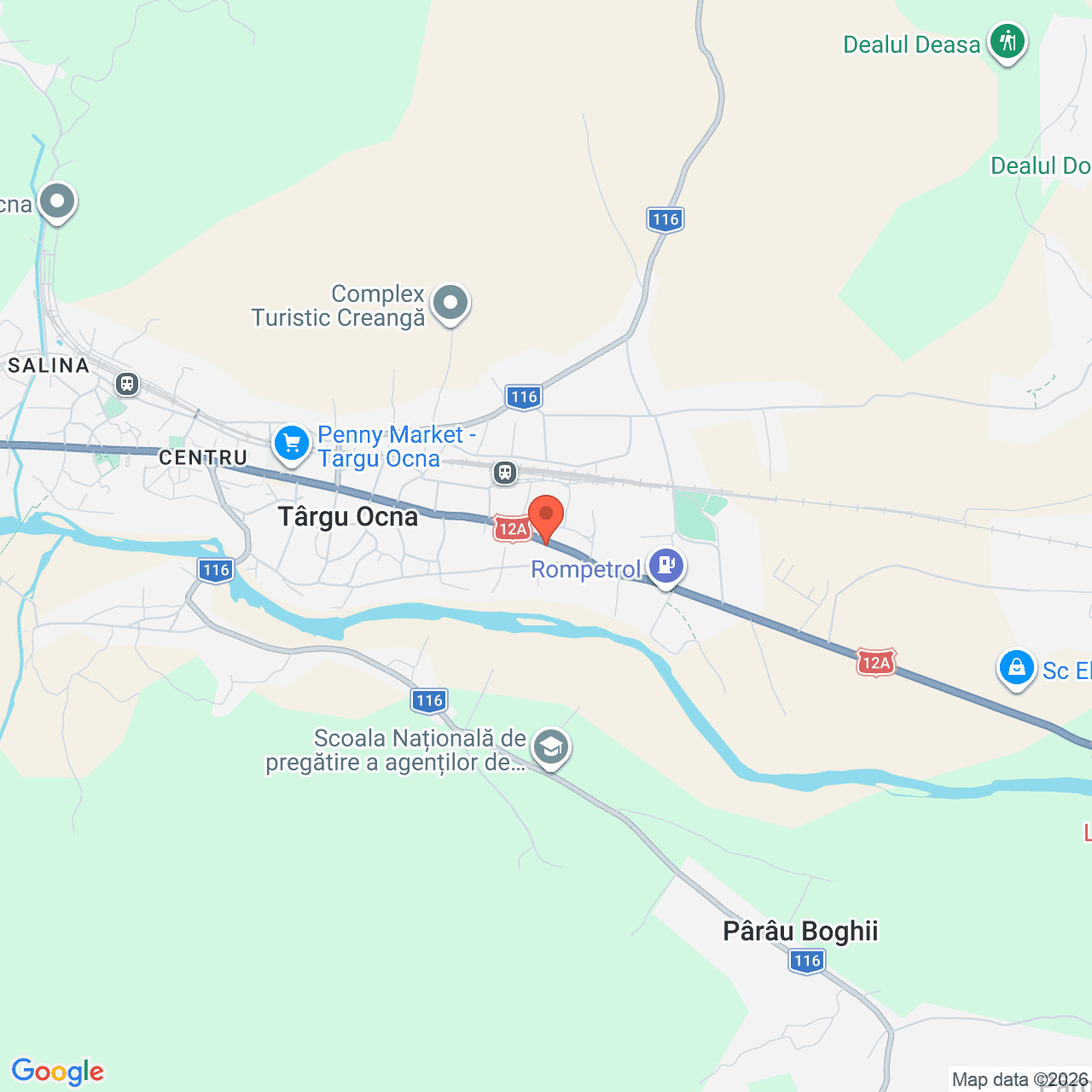 Poza harta streetview, zoom 14, adresa Tg. Ocna, str. Costache Negri, nr. 132, jud. Bacau, , judetul