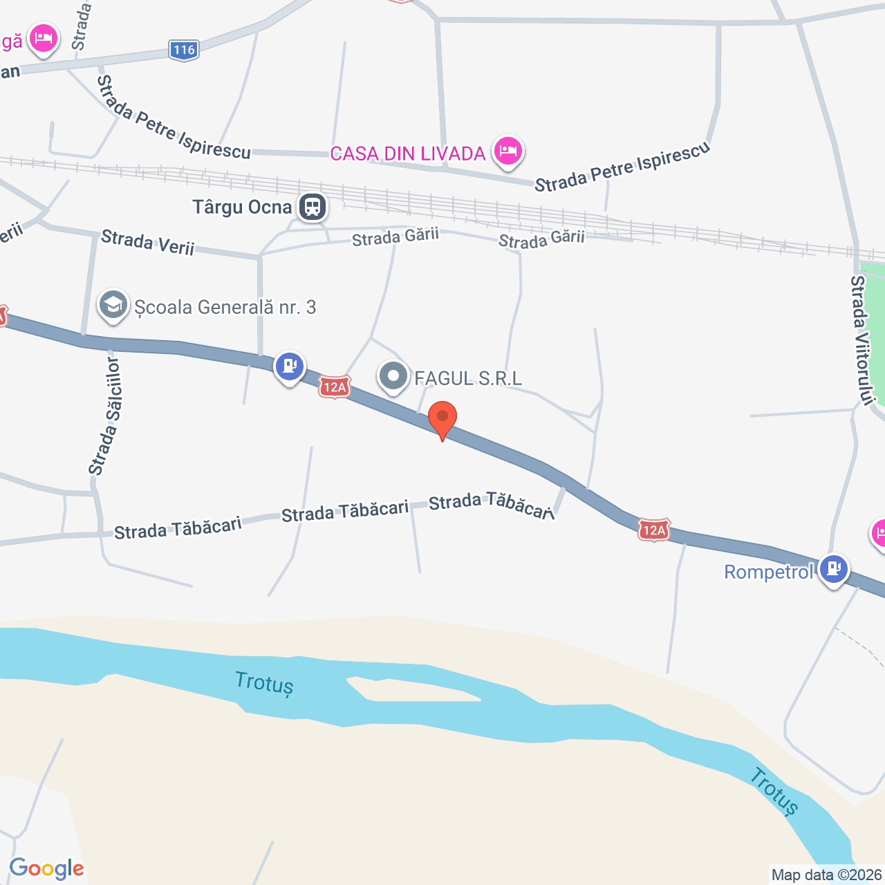 Poza harta streetview, zoom 16, adresa Tg. Ocna, str. Costache Negri, nr. 132, jud. Bacau, , judetul