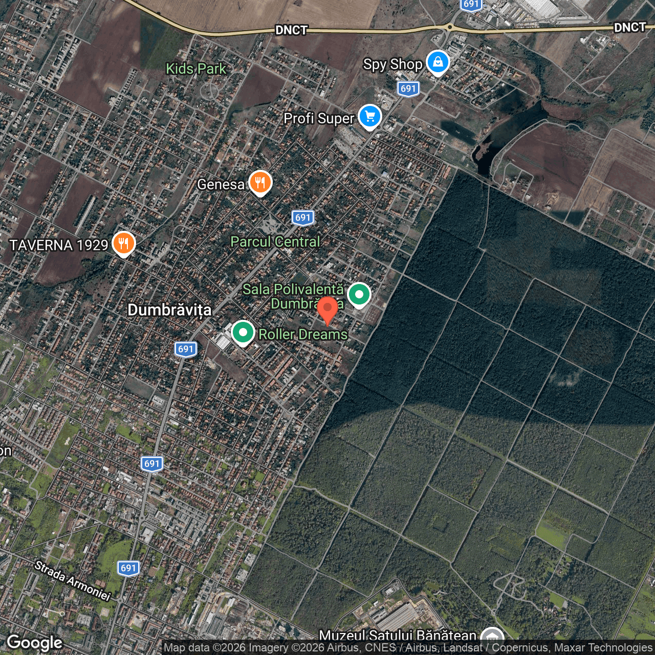 Poza harta hybrid, zoom 14, adresa Dumbravita, str. Castanilor, jud. Timis, , judetul