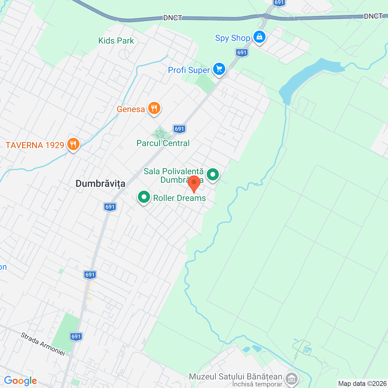 Poza harta streetview, zoom 14, adresa Dumbravita, str. Castanilor, jud. Timis, , judetul