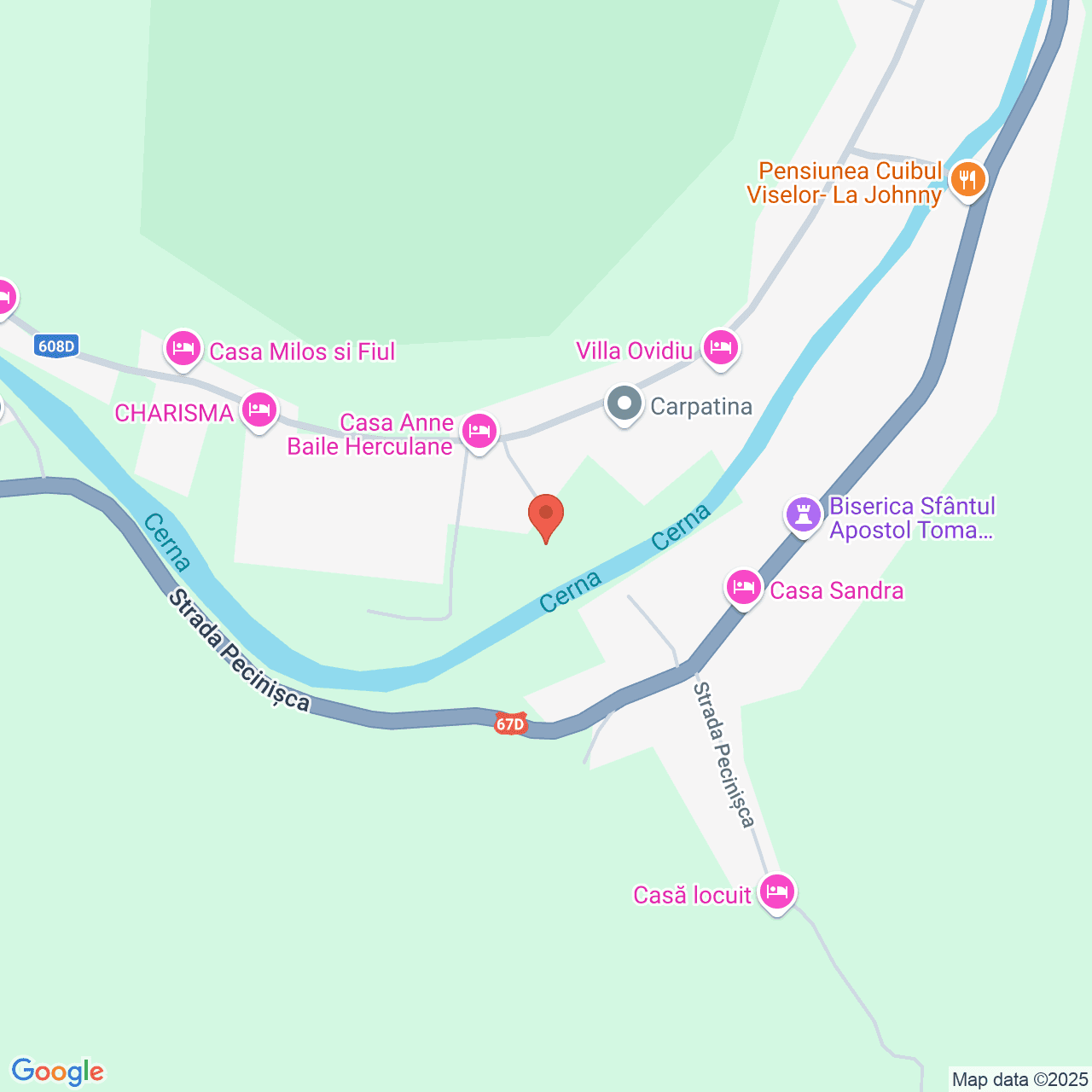 Poza harta streetview, zoom 16, adresa Bãile Herculane, Pecinişca, Judeţul Caraş-Severin, , judetul