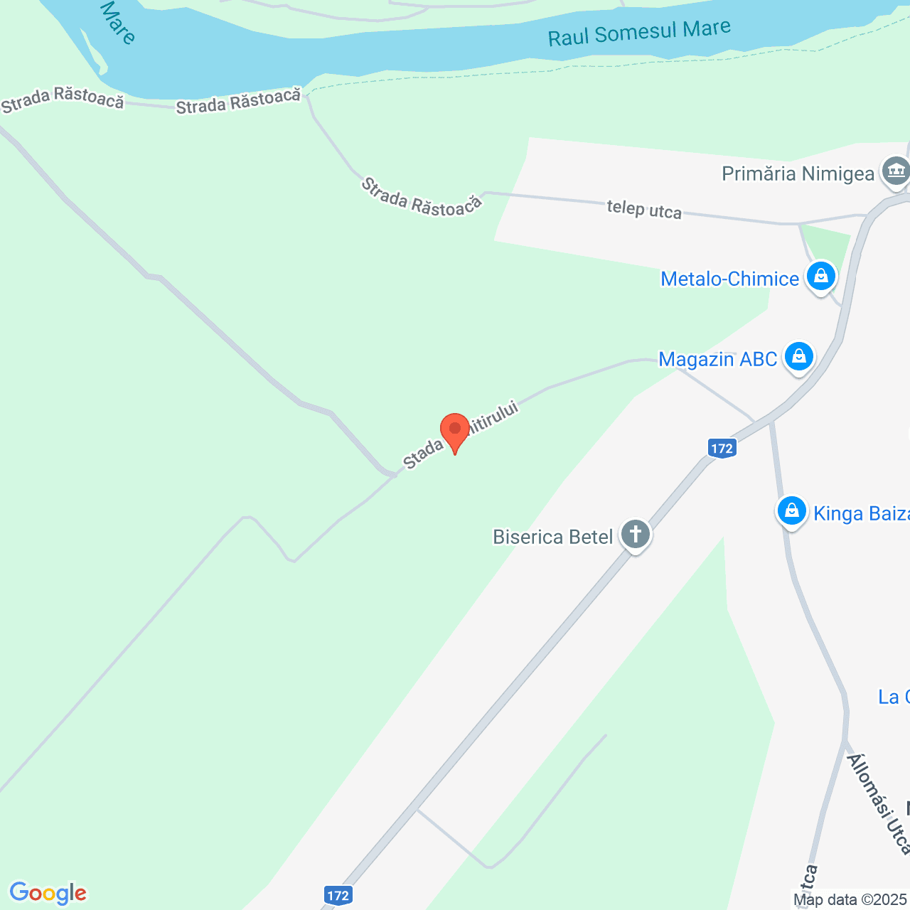 Poza harta streetview, zoom 16, adresa Nimigea de Jos, nr. 46D, Jud. Bistrita-Nasaud, , judetul