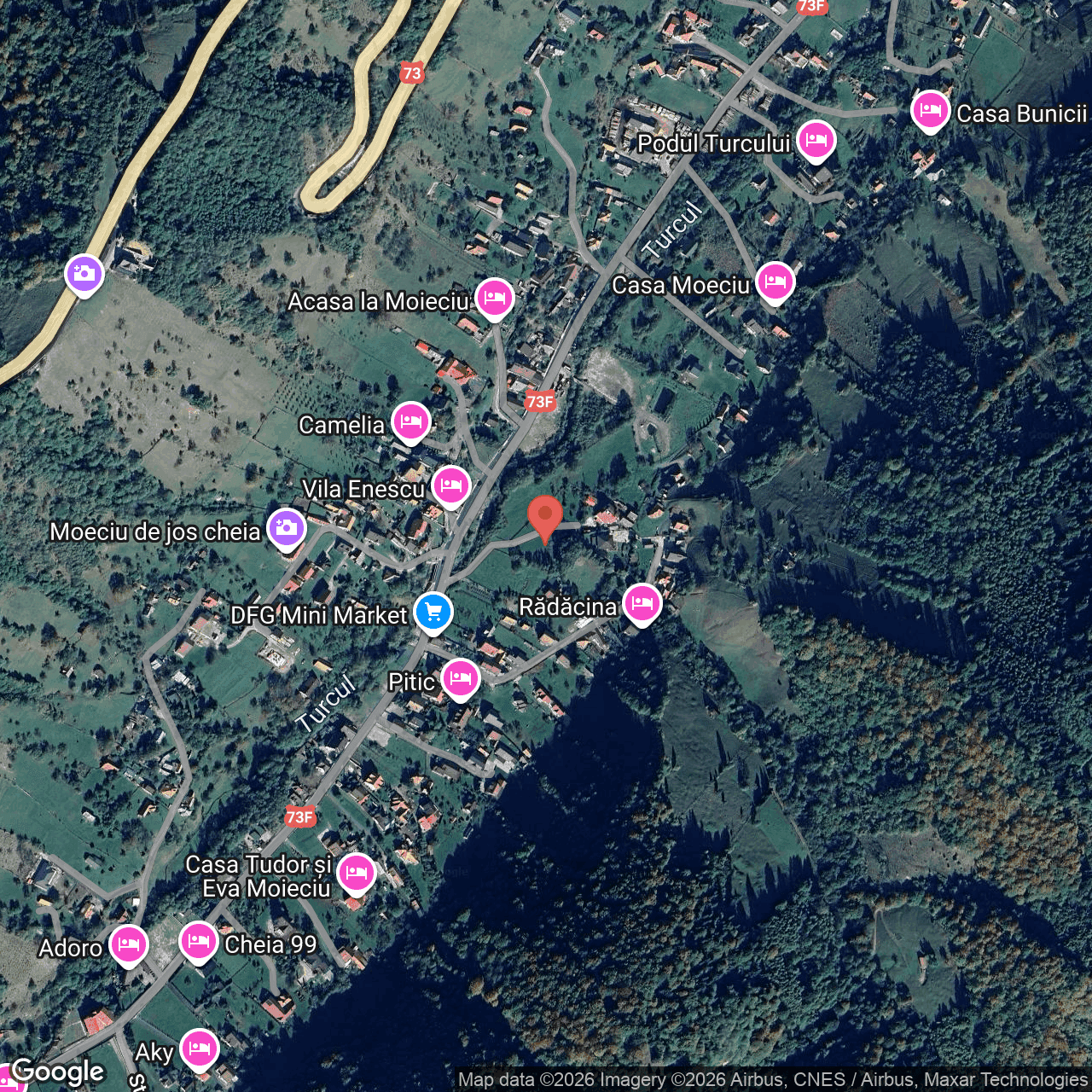 Poza harta hybrid, zoom 16, adresa Moeciu de Jos, Cheia , jud. Brasov, , judetul