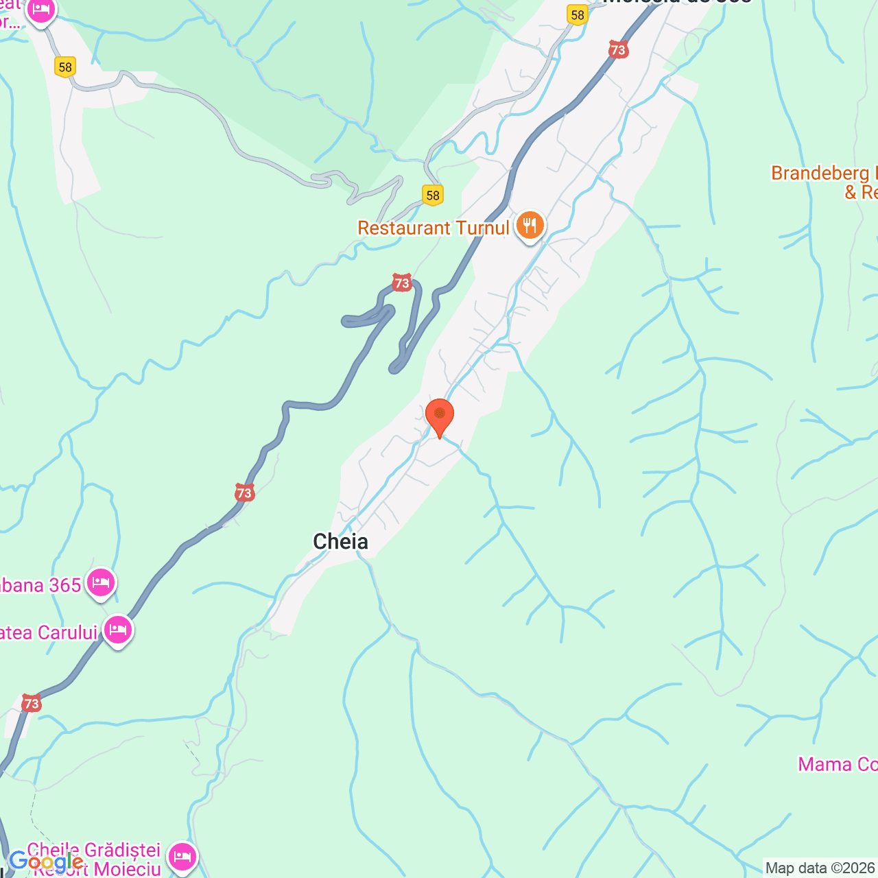 Poza harta streetview, zoom 14, adresa Moeciu de Jos, Cheia , jud. Brasov, , judetul