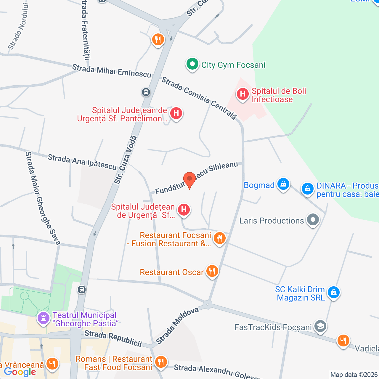 Poza harta streetview, zoom 16, adresa Focsani, str Alecu Sihleanu nr. 8C, , judetul