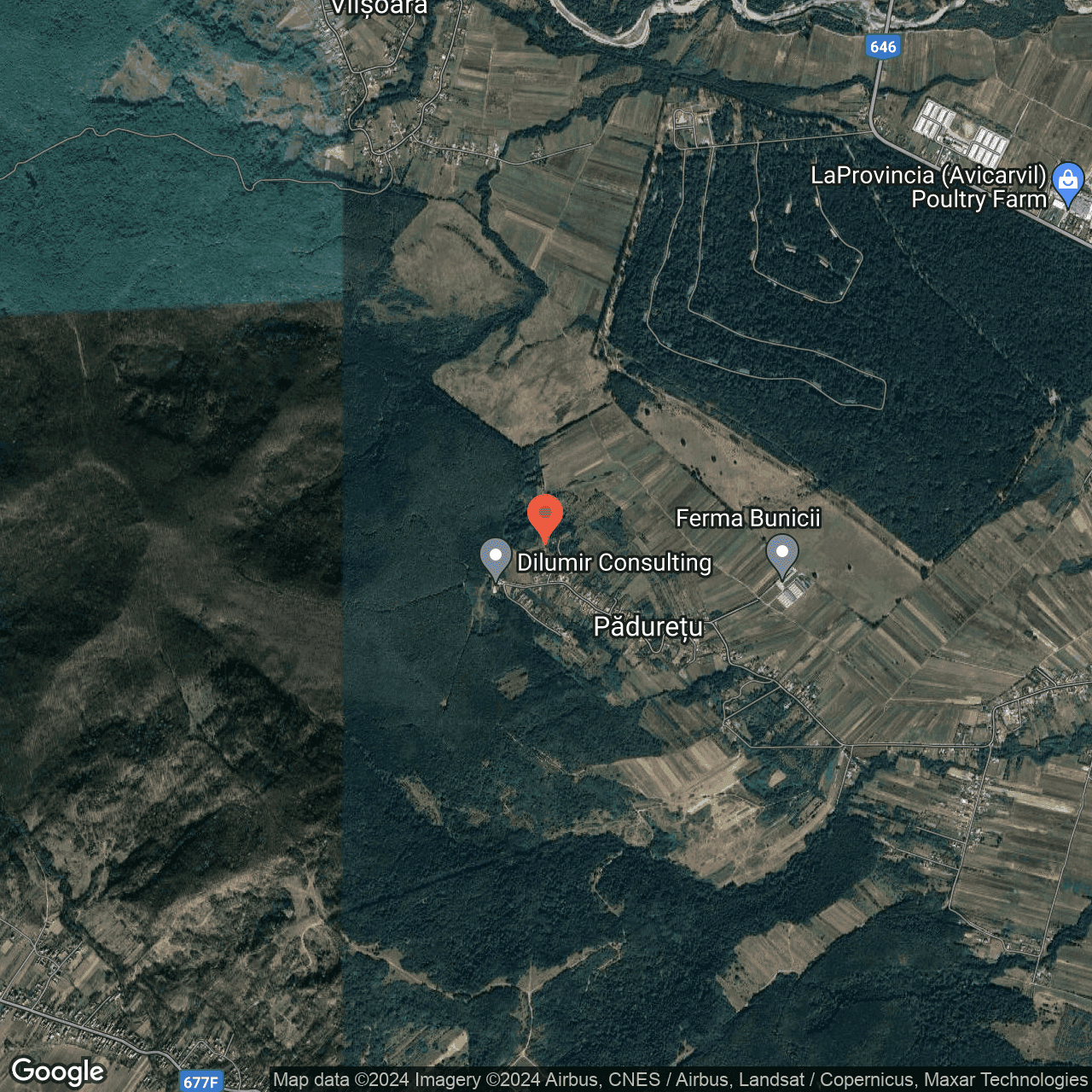 Poza harta hybrid, zoom 14, adresa Paduretu Valcea, , judetul