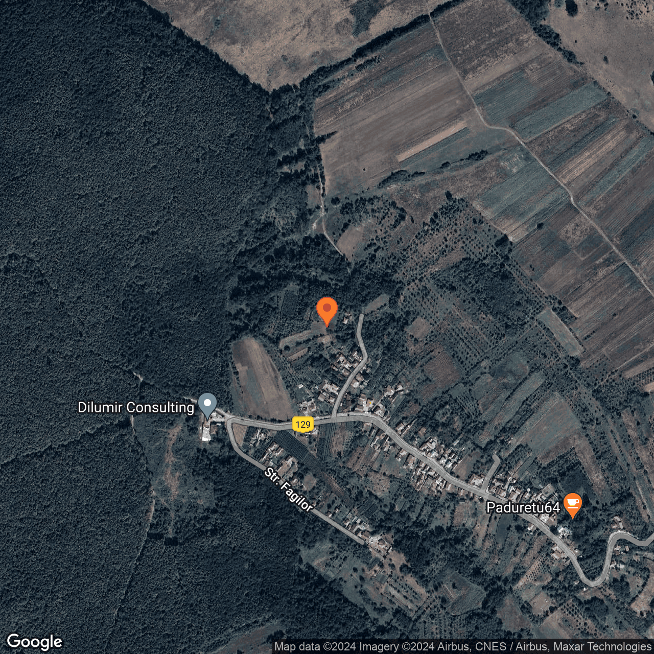 Poza harta hybrid, zoom 16, adresa Paduretu Valcea, , judetul