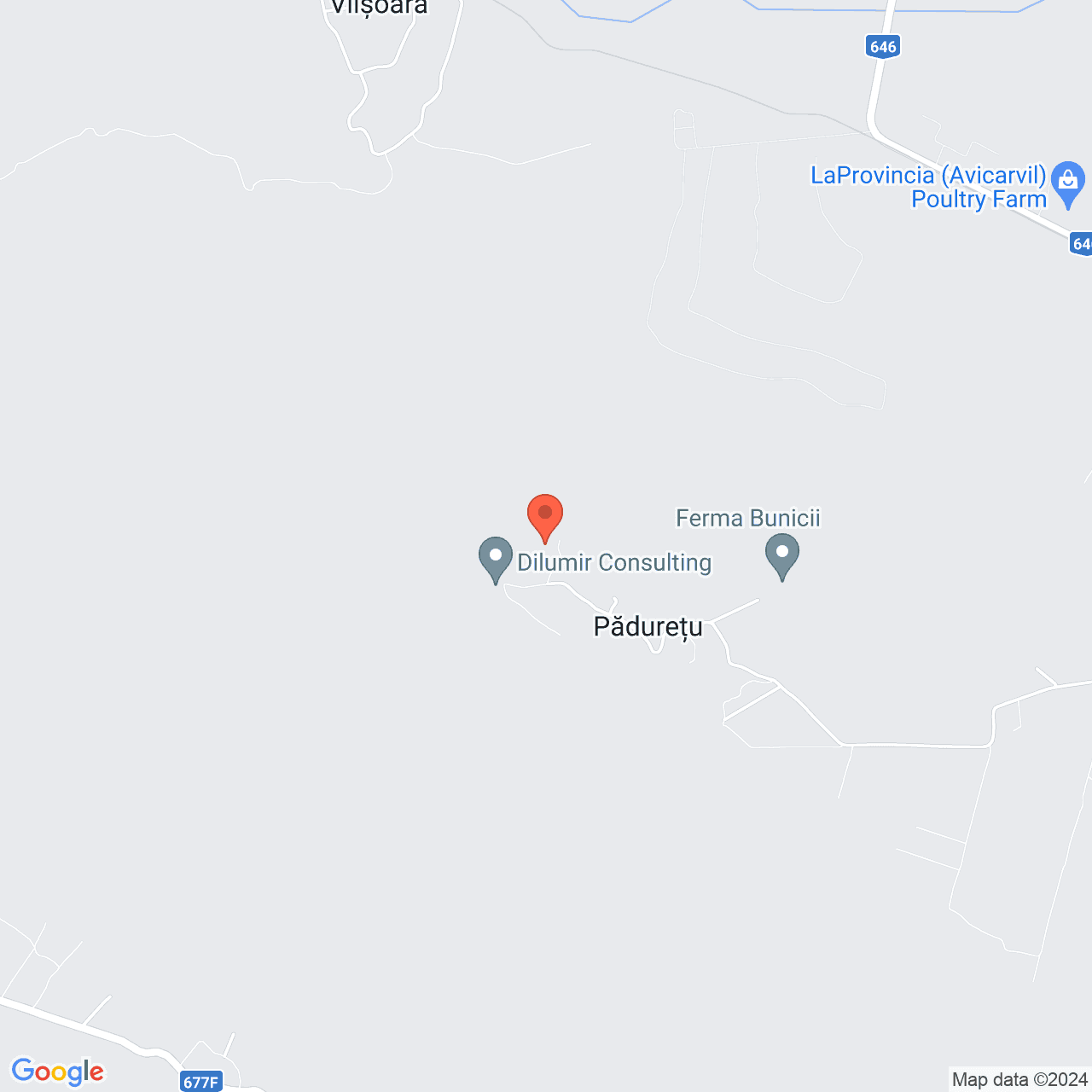 Poza harta streetview, zoom 14, adresa Paduretu Valcea, , judetul