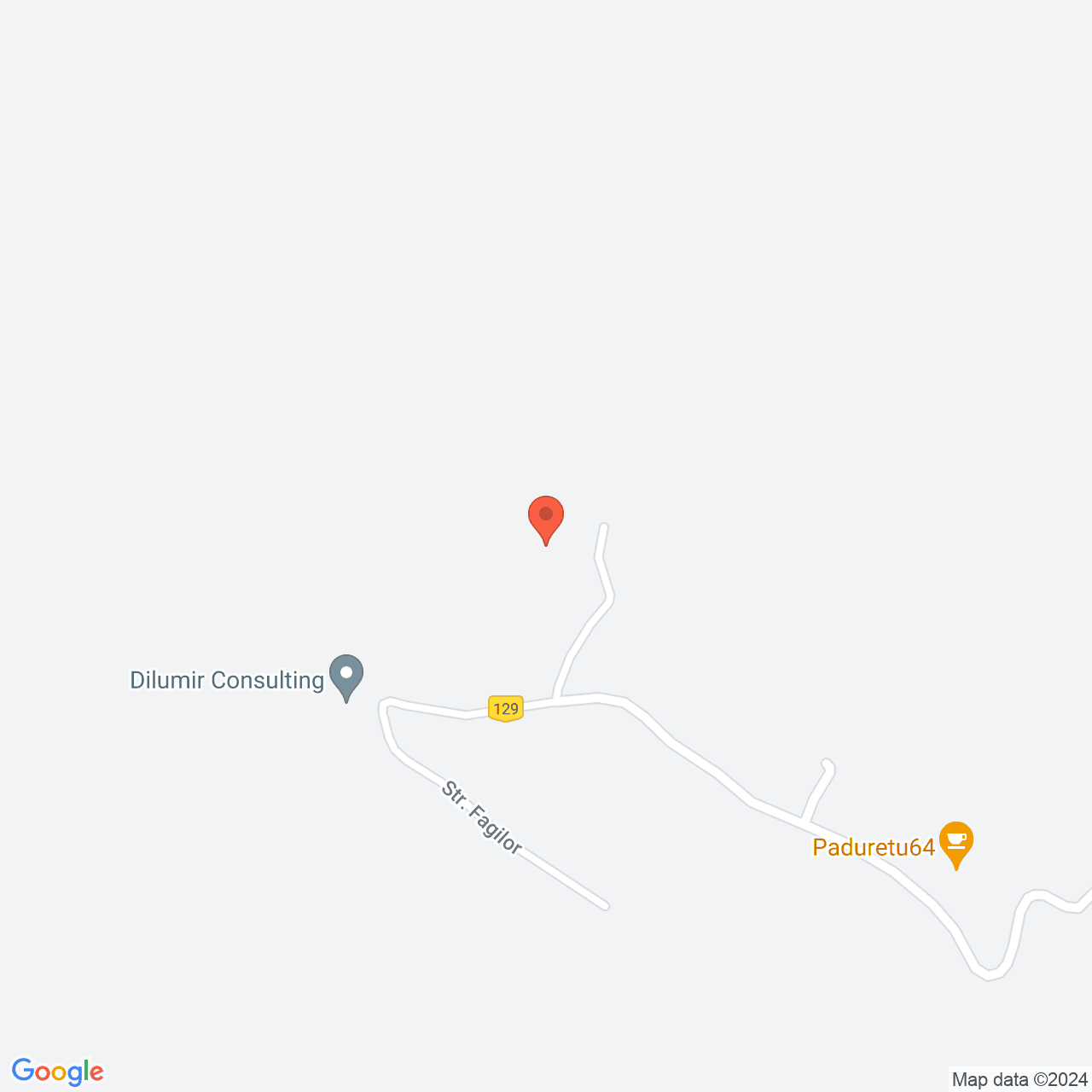 Poza harta streetview, zoom 16, adresa Paduretu Valcea, , judetul