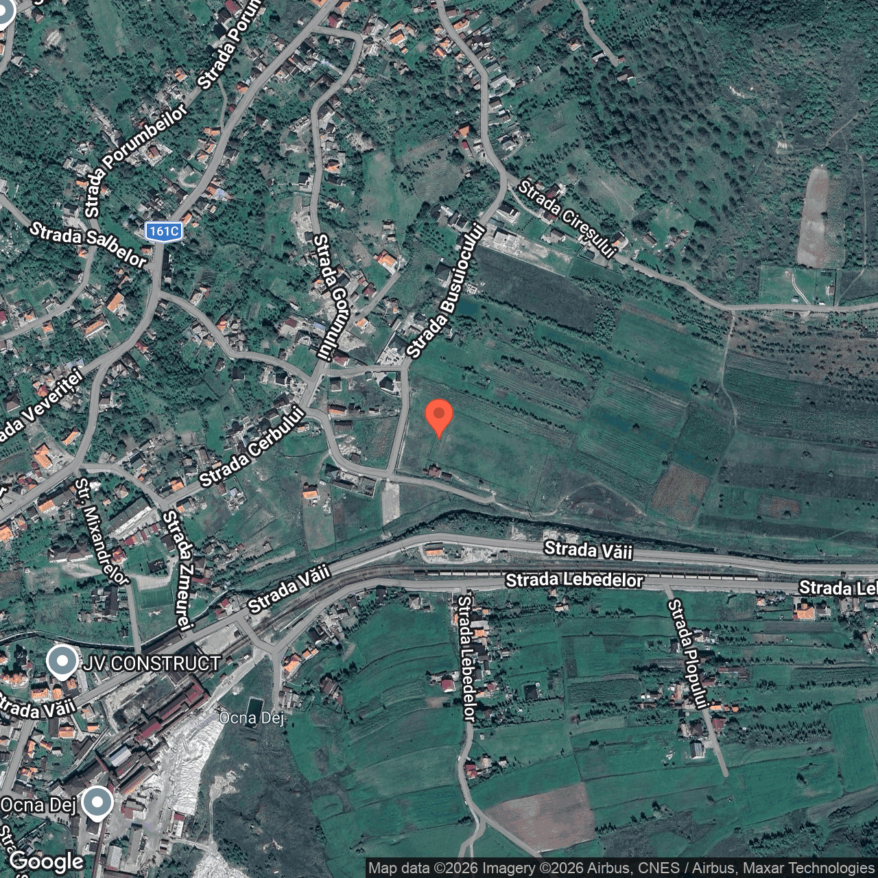 Poza harta hybrid, zoom 16, adresa Strada Busuiocului Dej Cluj, , judetul