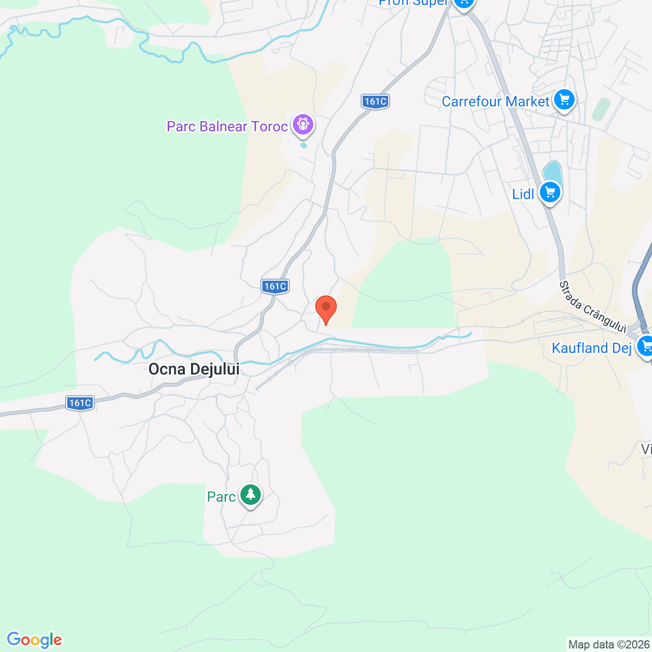 Poza harta streetview, zoom 14, adresa Strada Busuiocului Dej Cluj, , judetul