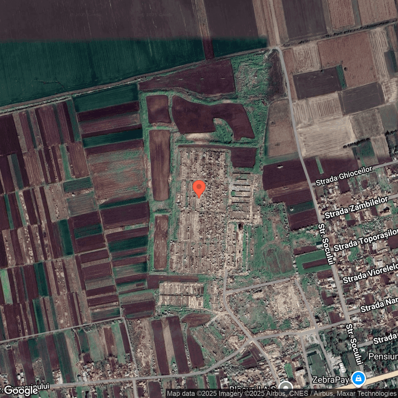 Poza harta hybrid, zoom 16, adresa Ciocanesti Calarasi, , judetul