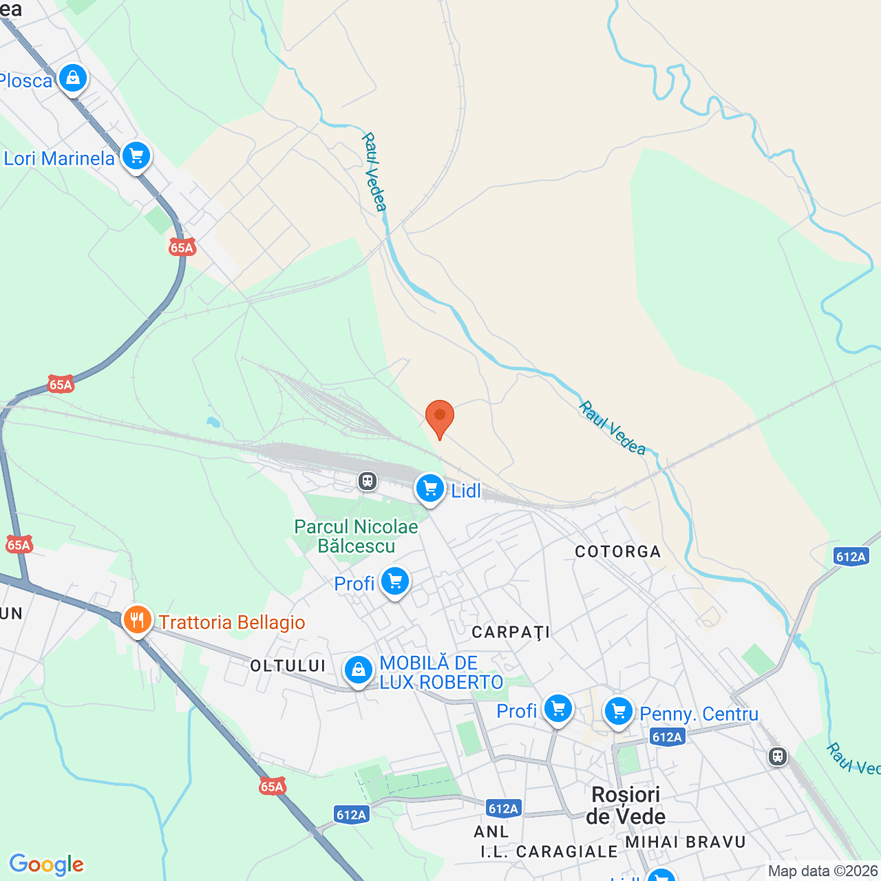 Poza harta streetview, zoom 14, adresa Rosiori de Vede Teleorman, , judetul