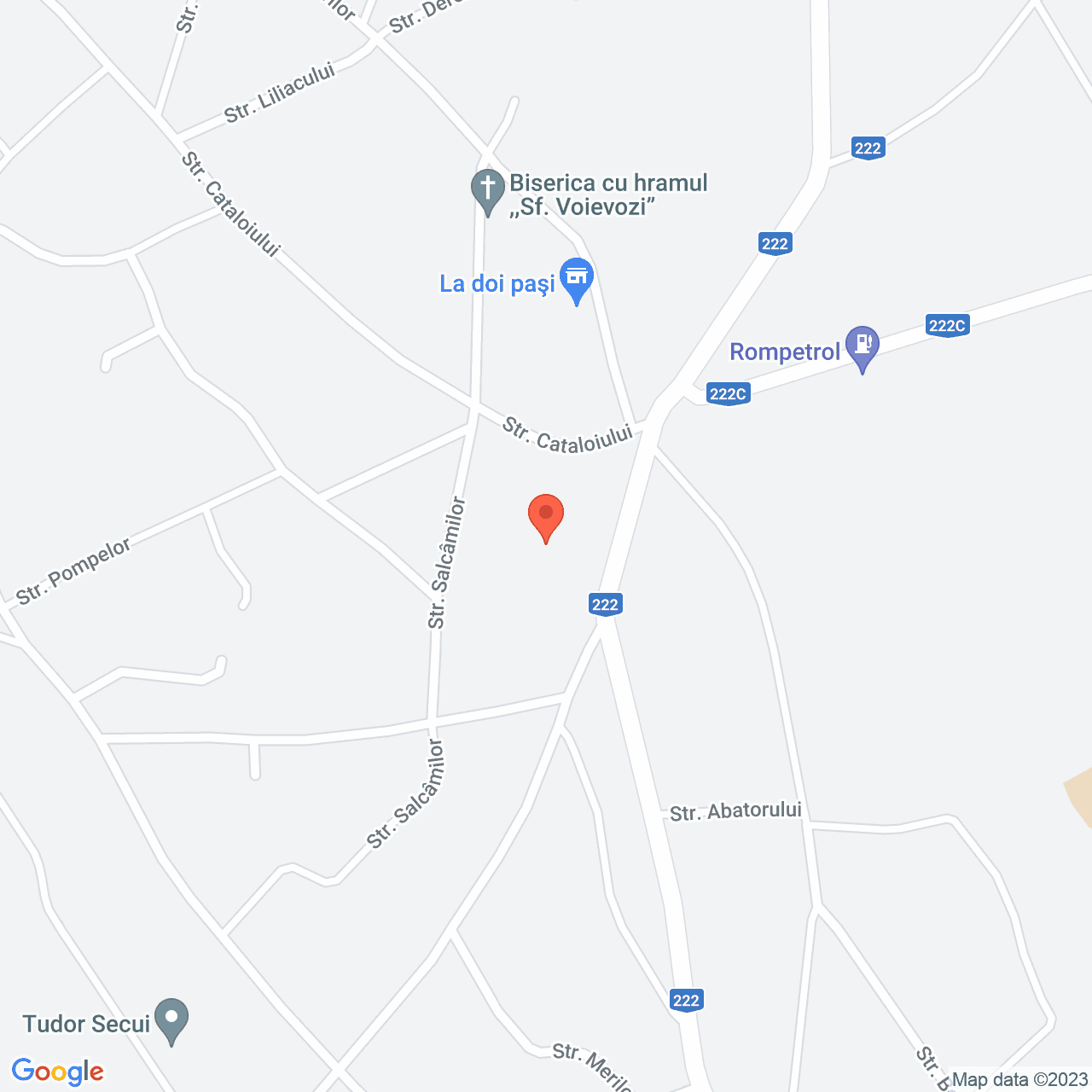 Poza harta streetview, zoom 16, adresa Agighiol, , judetul