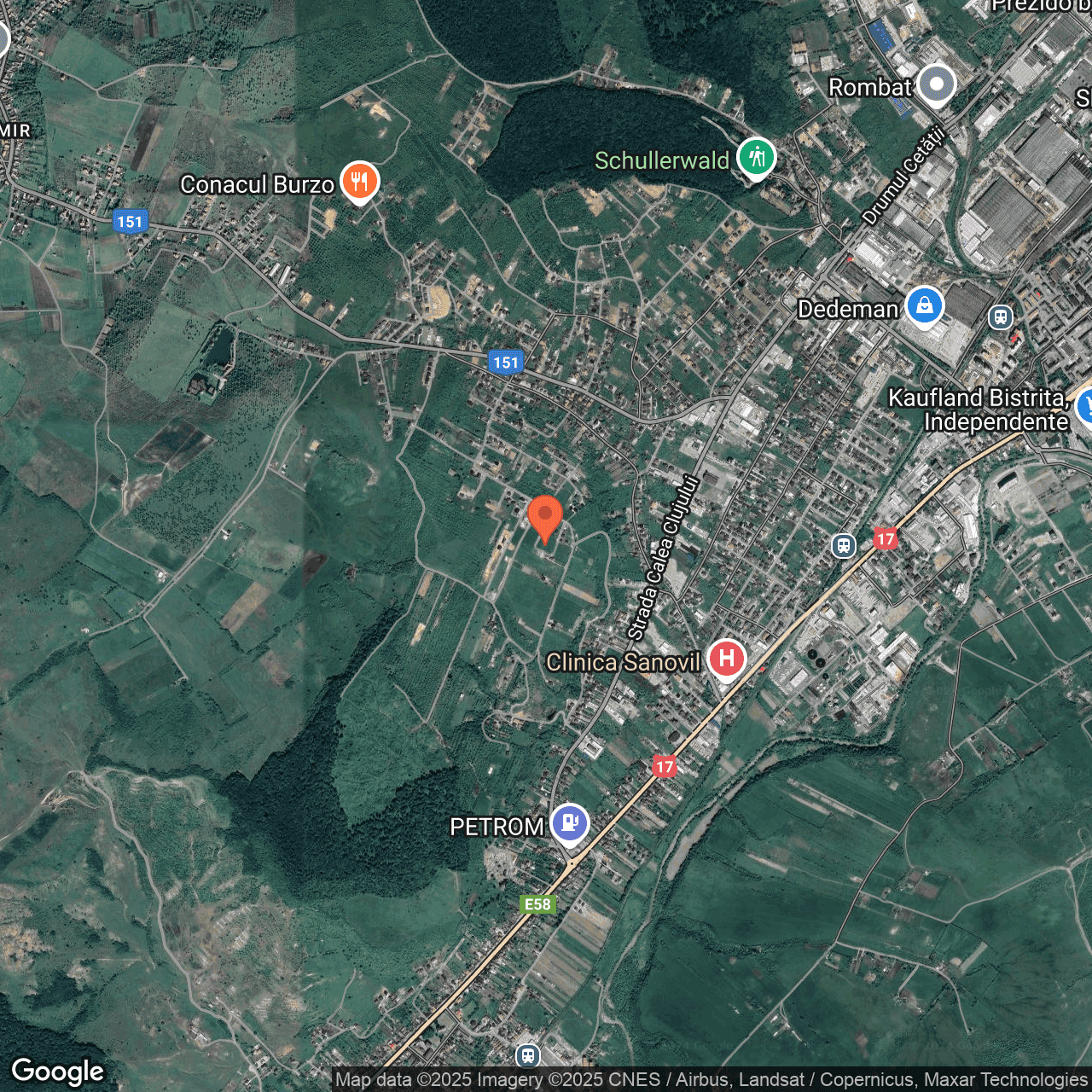 Poza harta hybrid, zoom 14, adresa Aleea Trifoiului Bistrita, , judetul