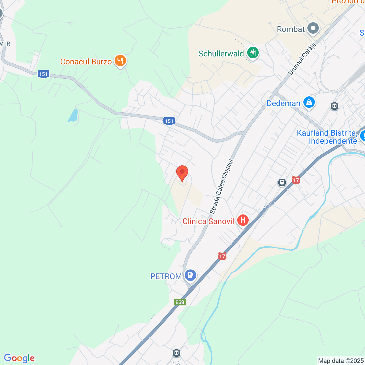 Poza harta streetview, zoom 14, adresa Aleea Trifoiului Bistrita, , judetul