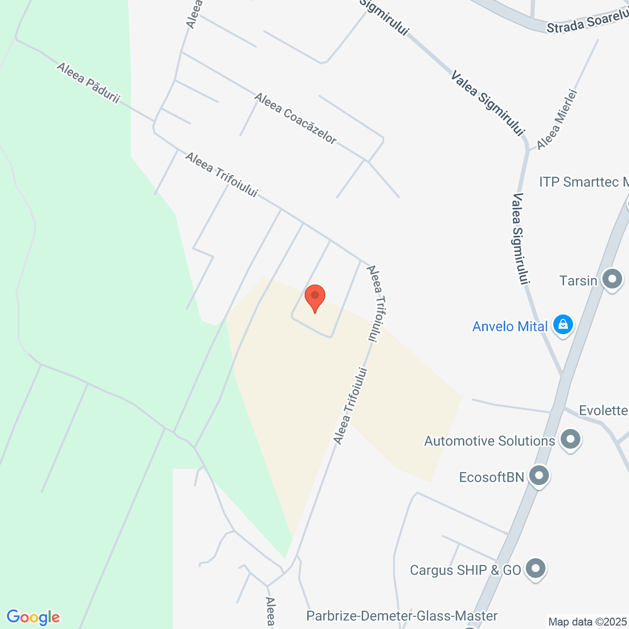 Poza harta streetview, zoom 16, adresa Aleea Trifoiului Bistrita, , judetul