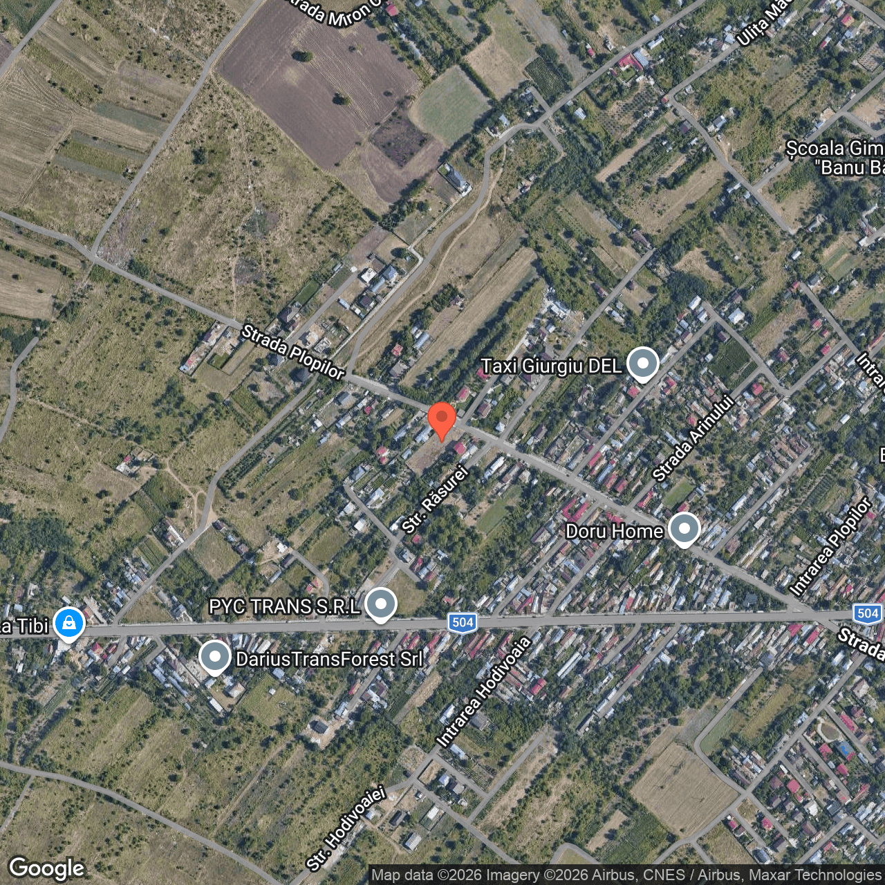 Poza harta hybrid, zoom 16, adresa Strada Plopilor Giurgiu, , judetul