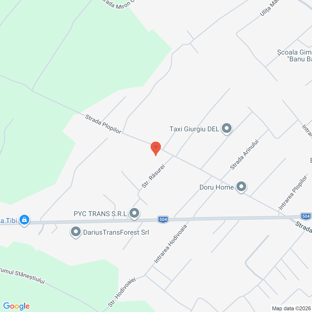 Poza harta streetview, zoom 16, adresa Strada Plopilor Giurgiu, , judetul