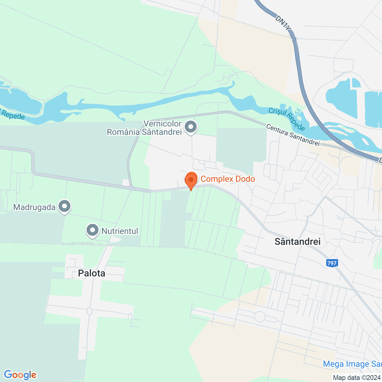 Poza harta streetview, zoom 14, adresa Santandrei Bihor, , judetul