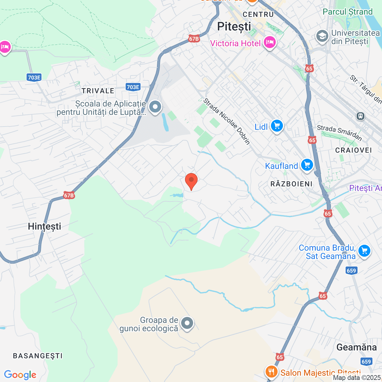 Poza harta streetview, zoom 14, adresa Aleea Stadionului Pitesti, , judetul