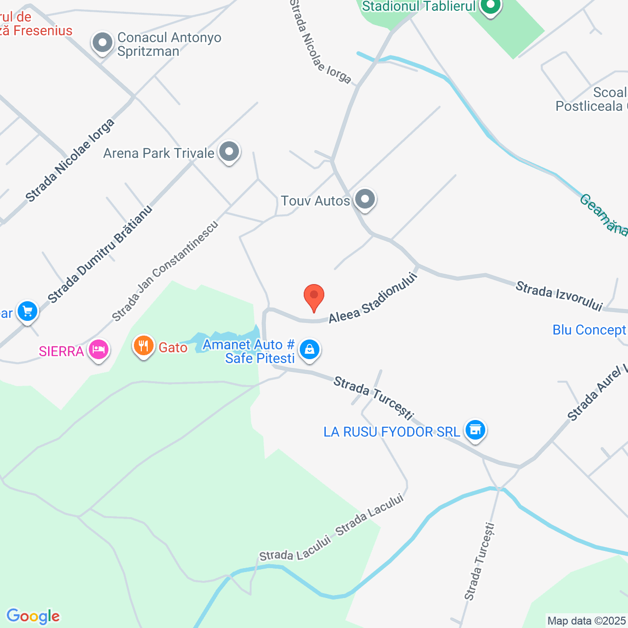 Poza harta streetview, zoom 16, adresa Aleea Stadionului Pitesti, , judetul